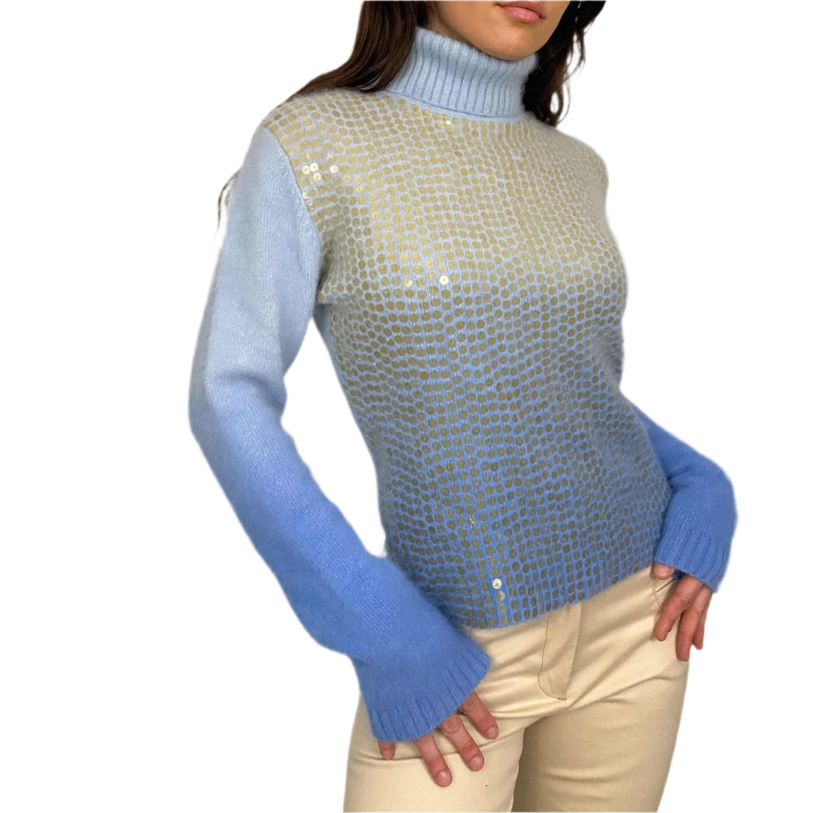 Soft Knit Sequin Turtleneck (M)