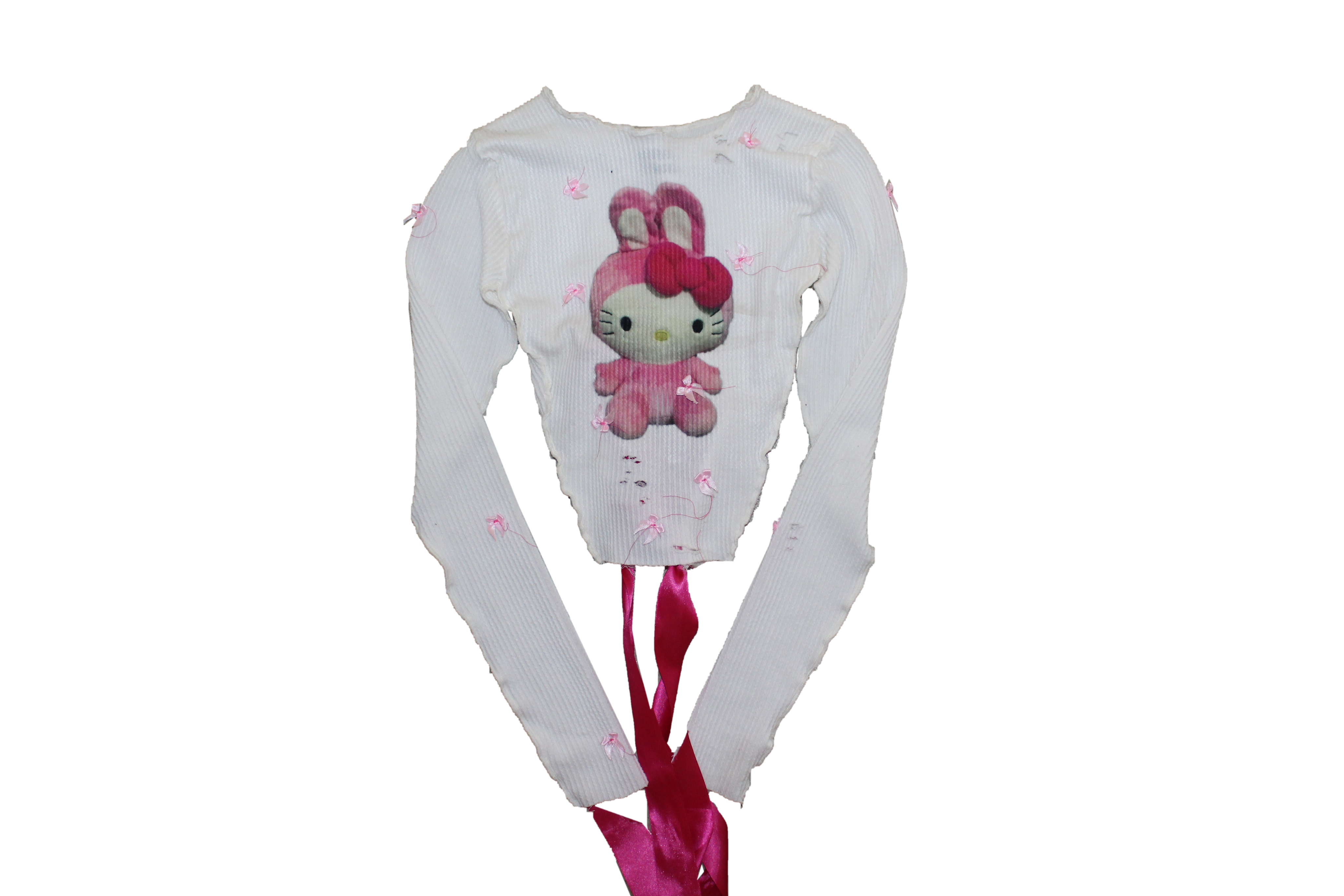 ノ ♡~⑅ meow longsleeve 。.。:+*