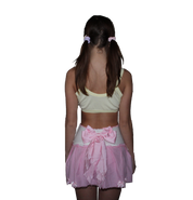 *+:。.。 bun bun skirt ,;.,.