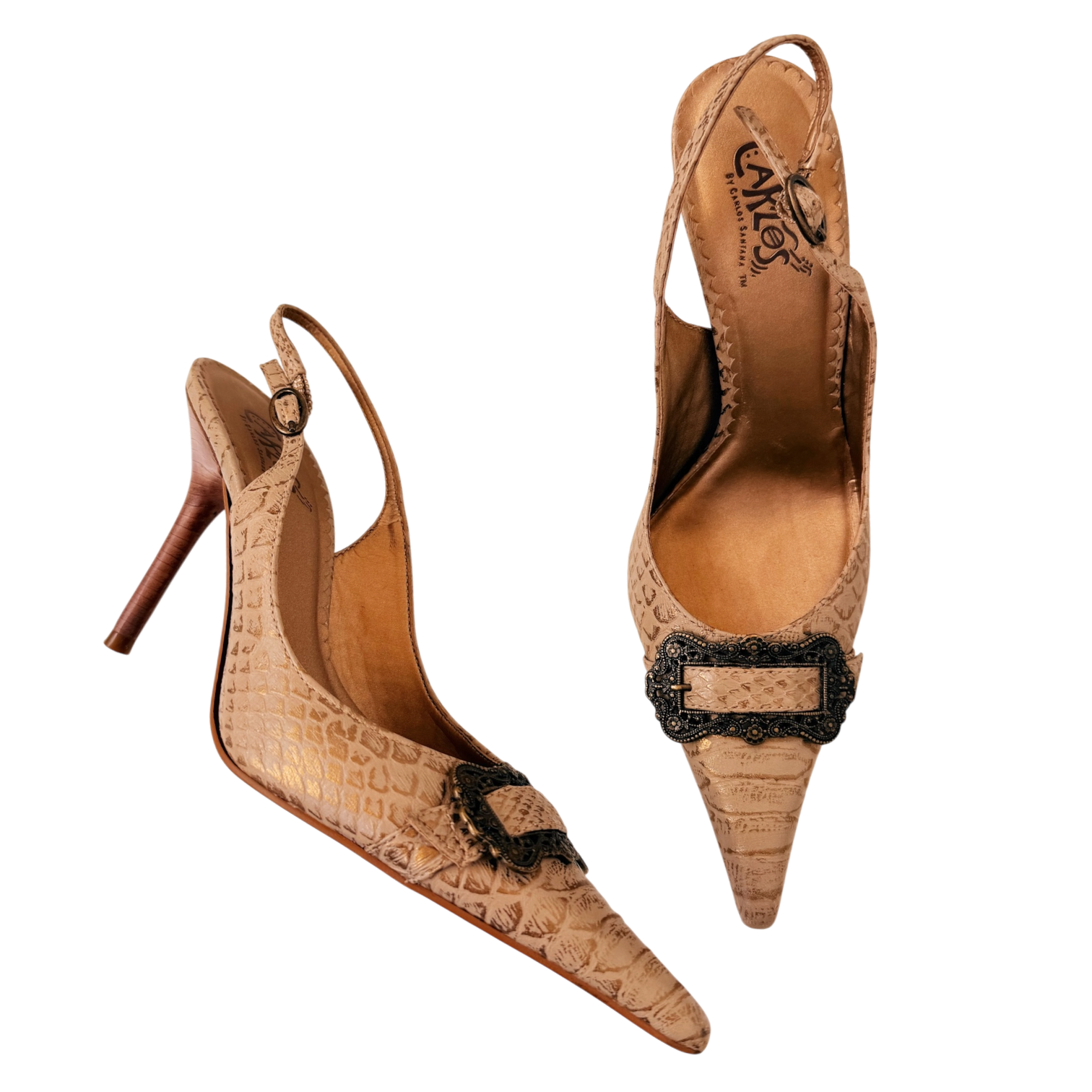 Pointed Toe Buckle Heels (6)