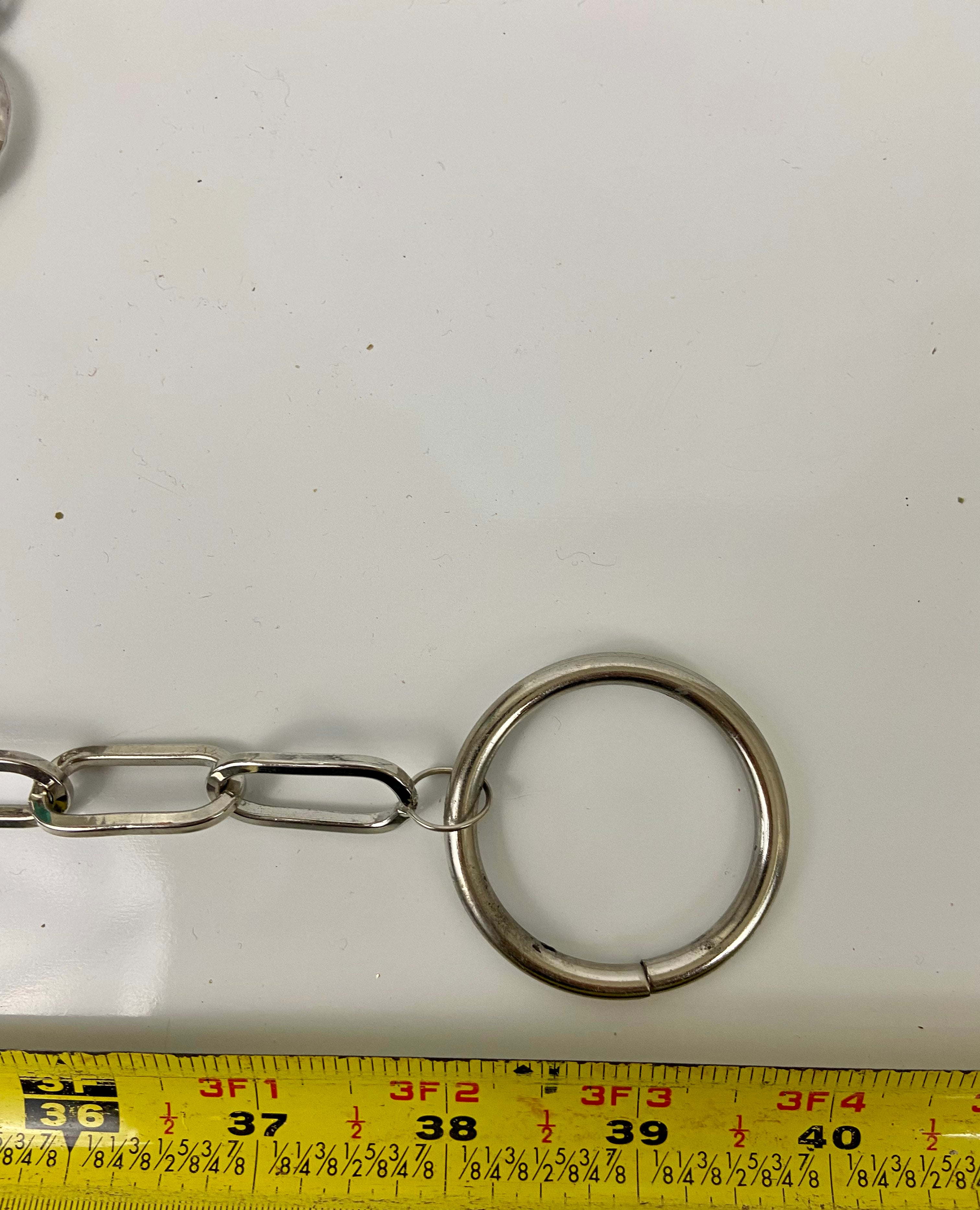 Be careful with the tigers 🐅 🐅 belt