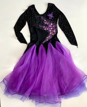 Ballroom Dance Dress