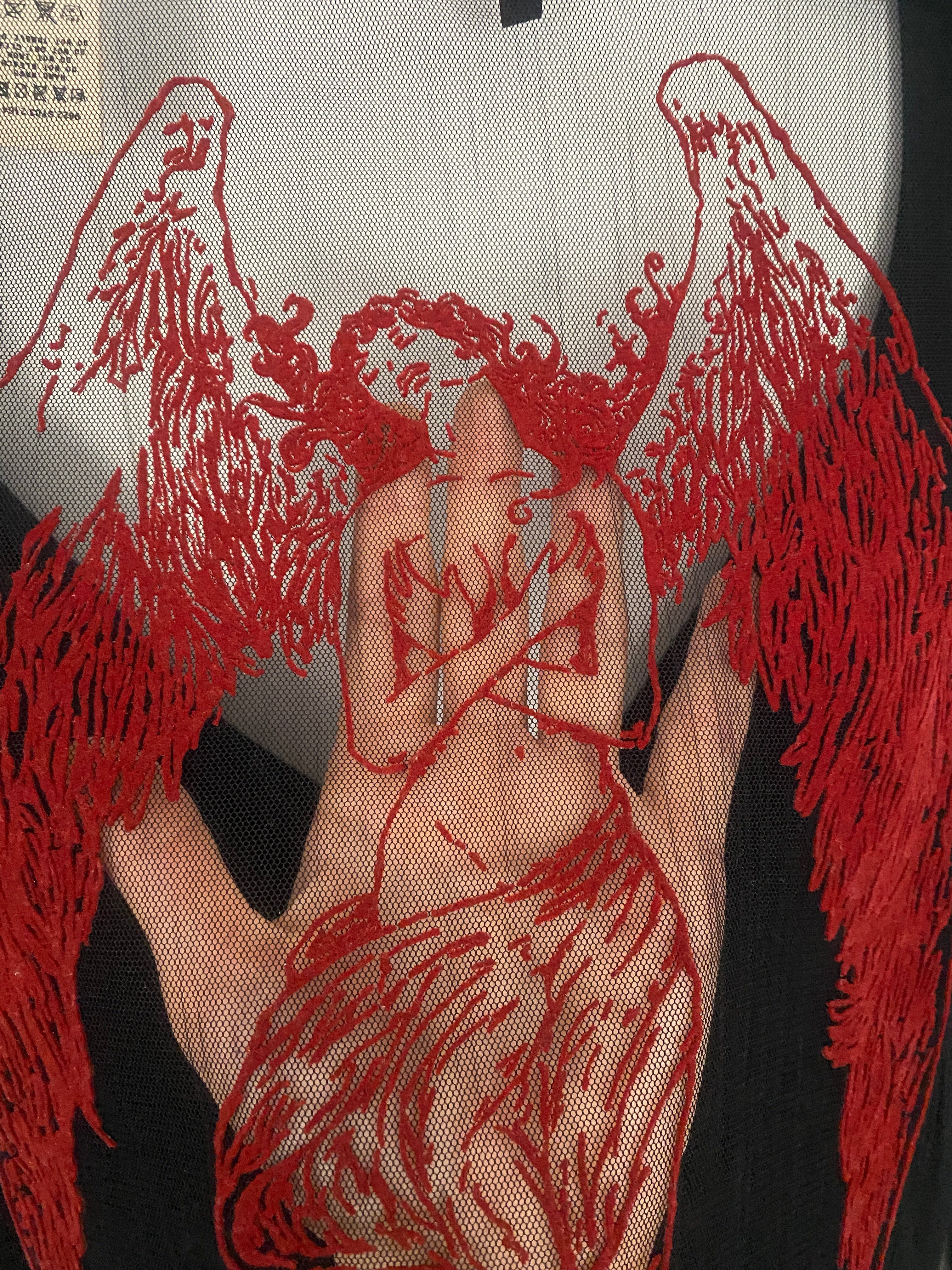 RARE Miss Sixty Fallen Angel Mesh Long Sleeve Top (S)