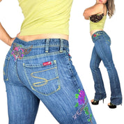 Y2K Embroidered Low Rise Jeans (M)