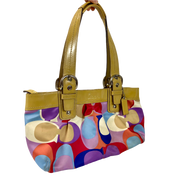 Multicolored Coach