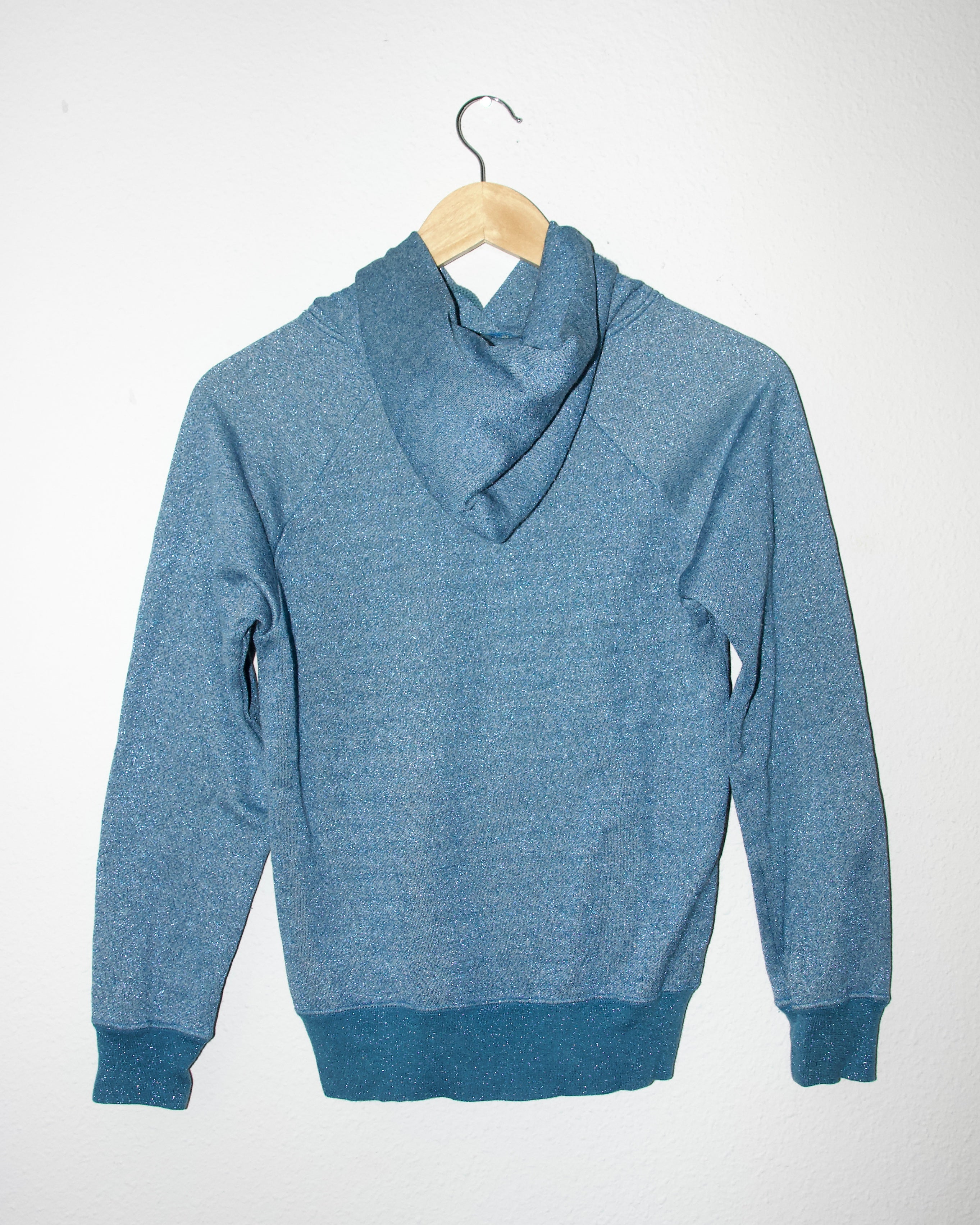 Hysteric Glamour Sexpert Hoodie (S-M)