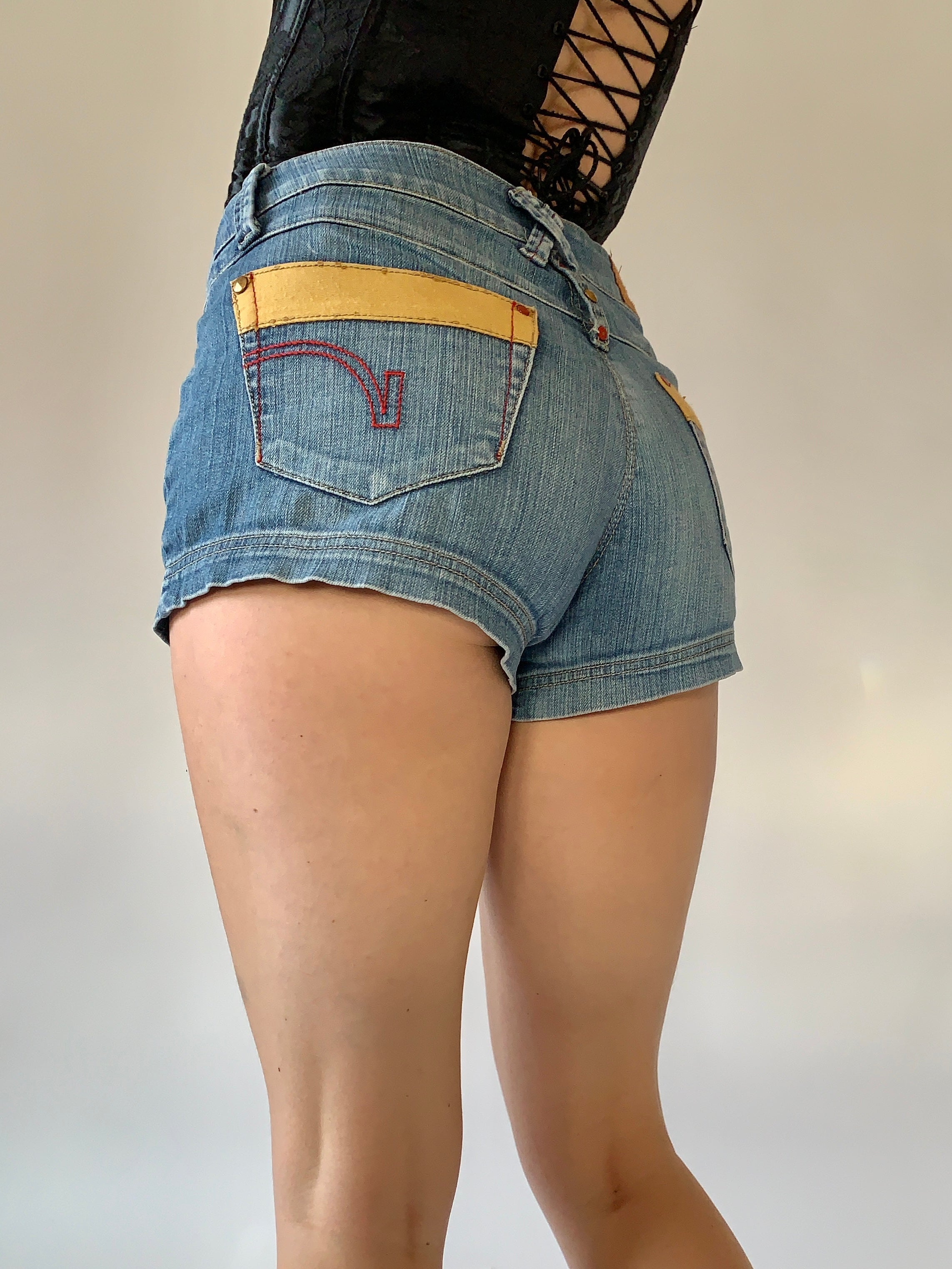 Y2K Low Rise Shorts (L)