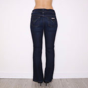 Y2K HUDSON Low Rise Flare Jeans (S/M)