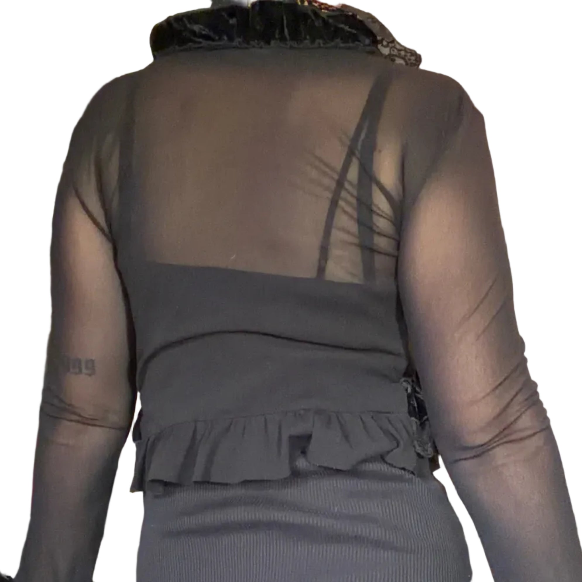 Morgan de Toi Bolero (M)