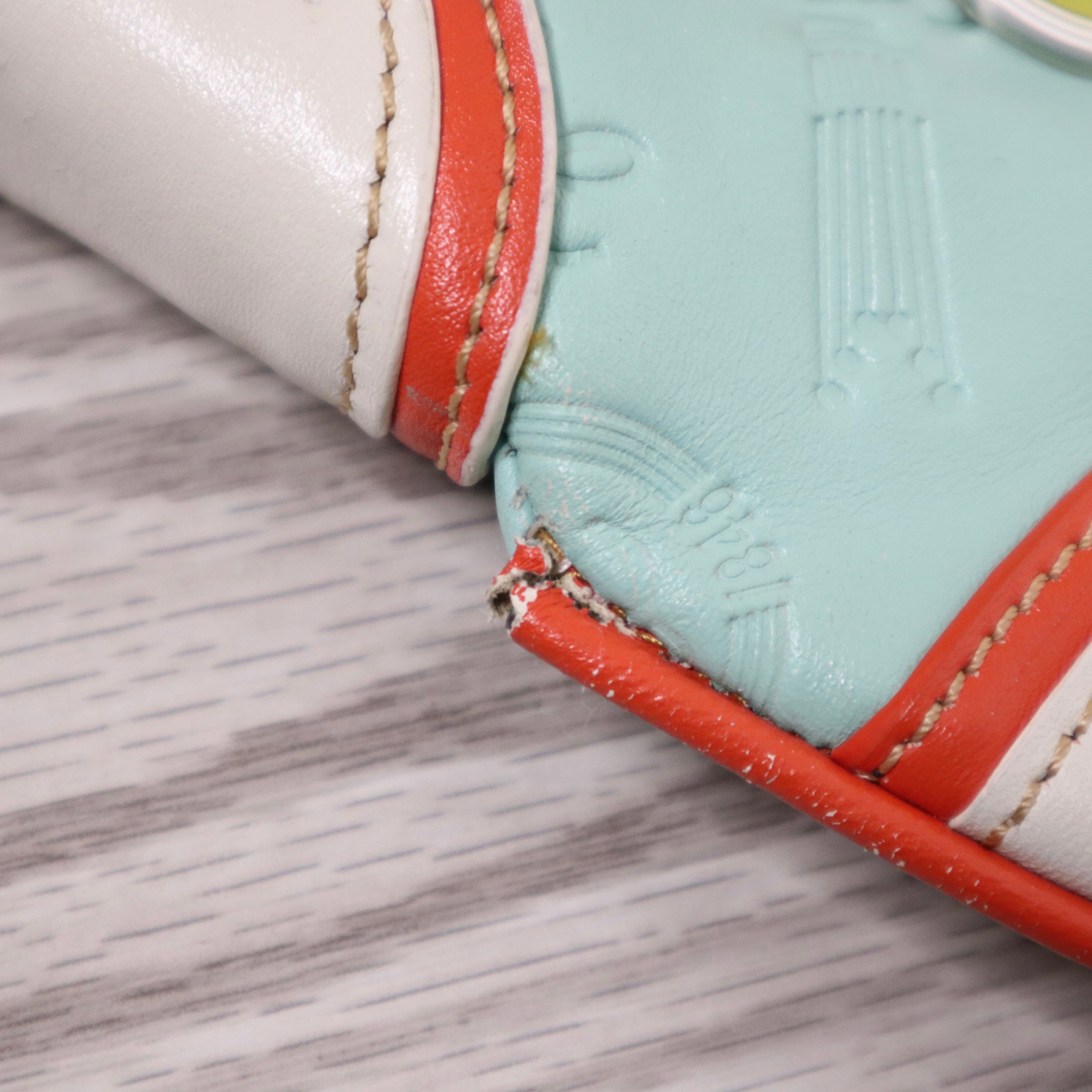 LOEWE Colorful Leather Purse 