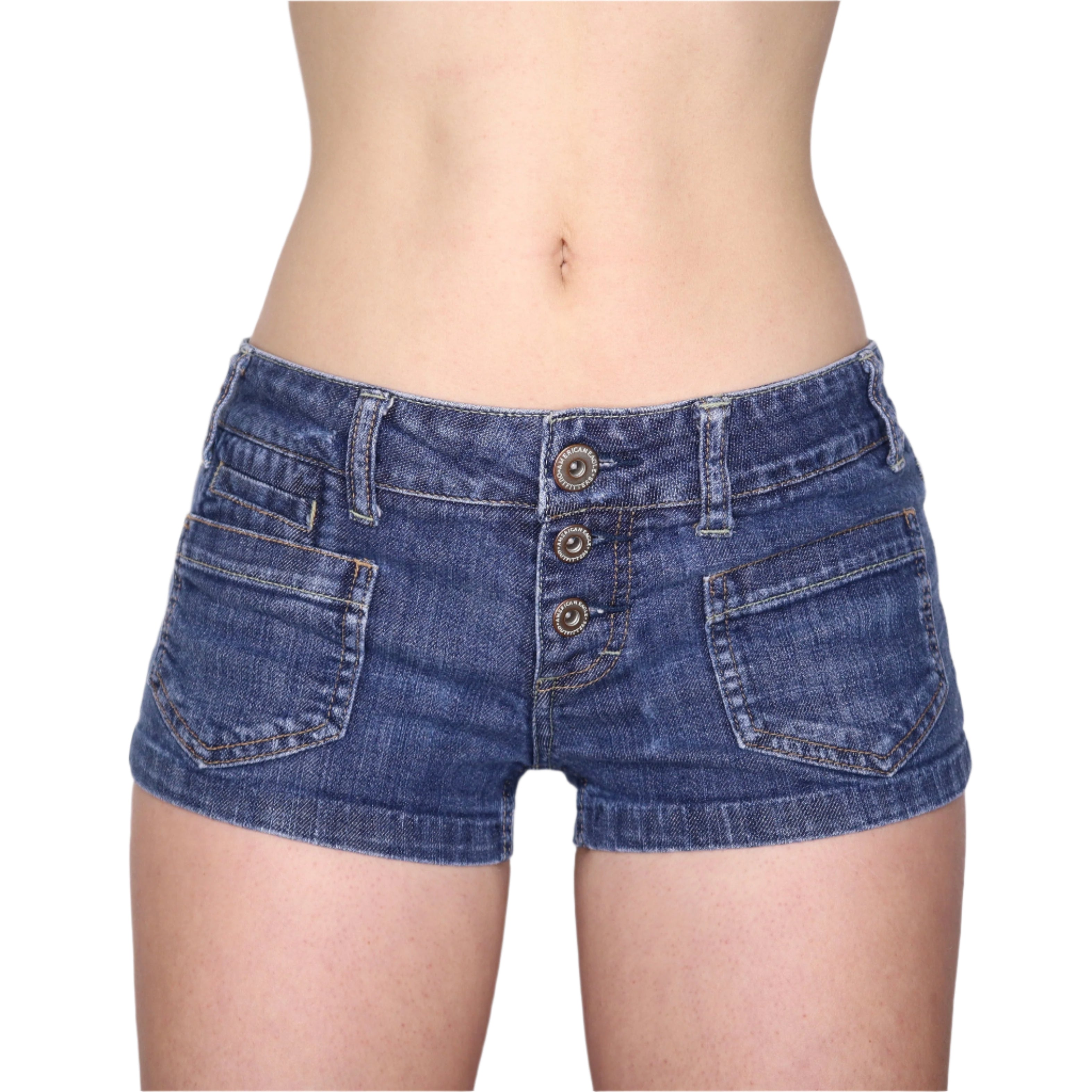 Y2K Low Rise Denim Shorts (S/M)