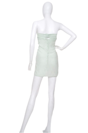 Silk Mint Tea Cake - Mini Dress (XS-L)