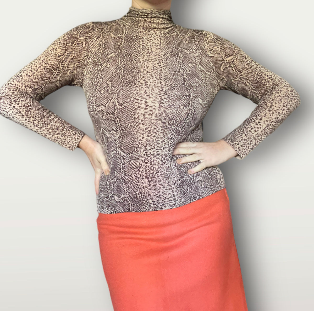 Y2k Soft Cotton Snake Print Long Sleeve Top (S/M)