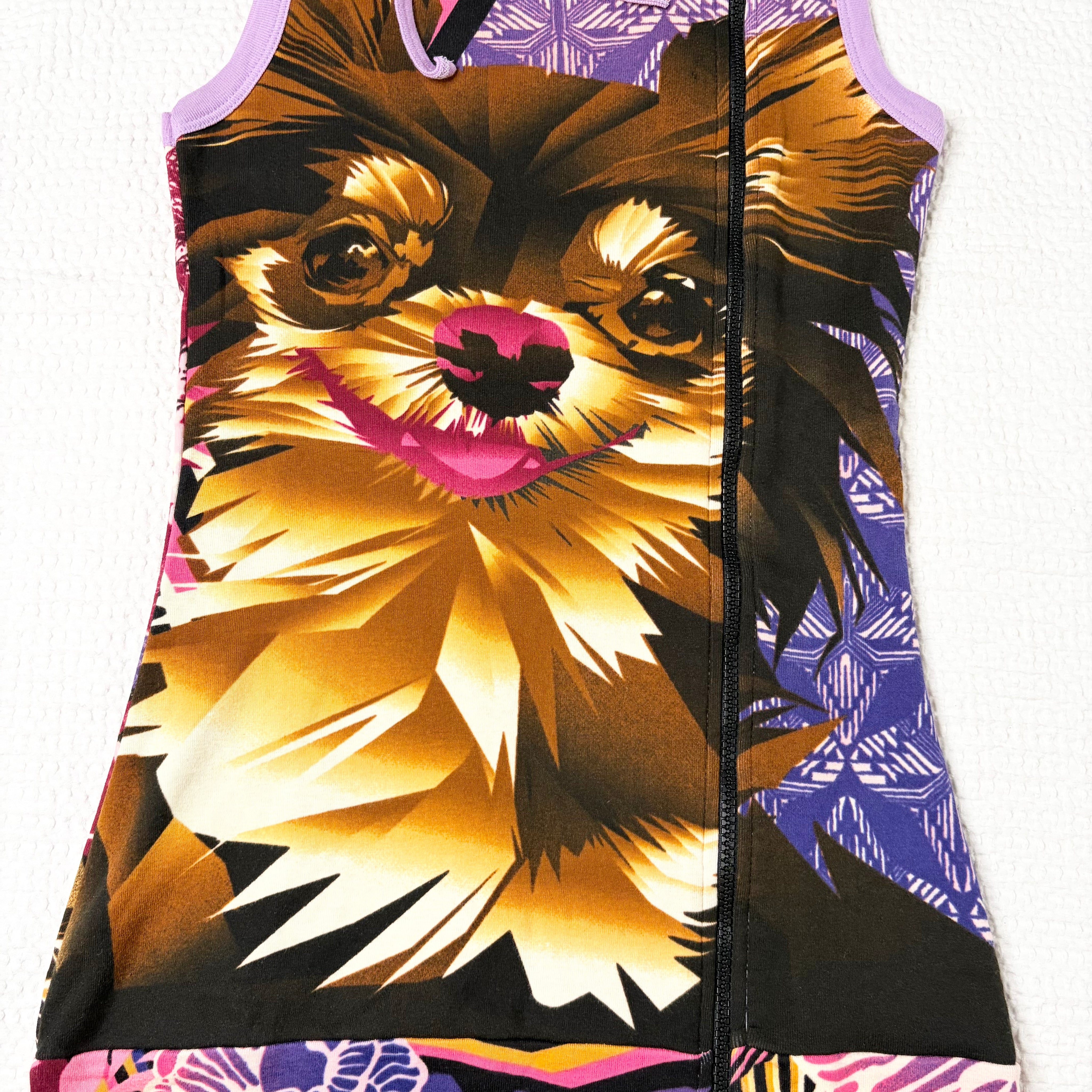 Hayes Hooded Graphic Mini Dress (S-M)