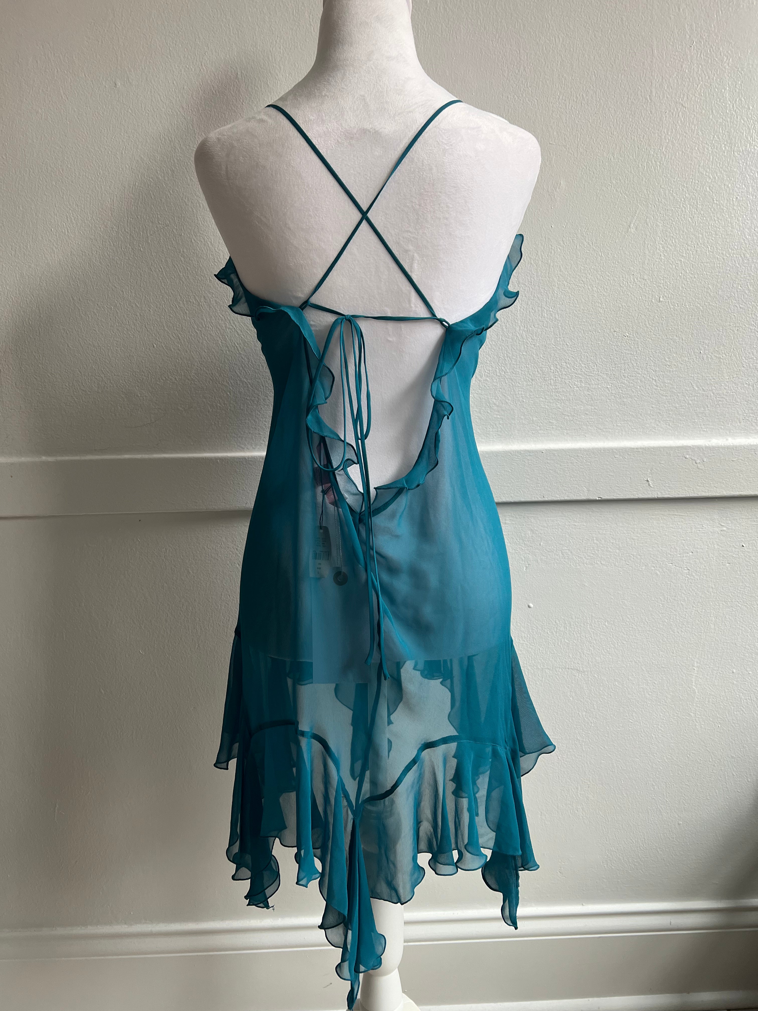 Vintage *rare* 2005 Victoria's Secret Whimsy Fairy Dress