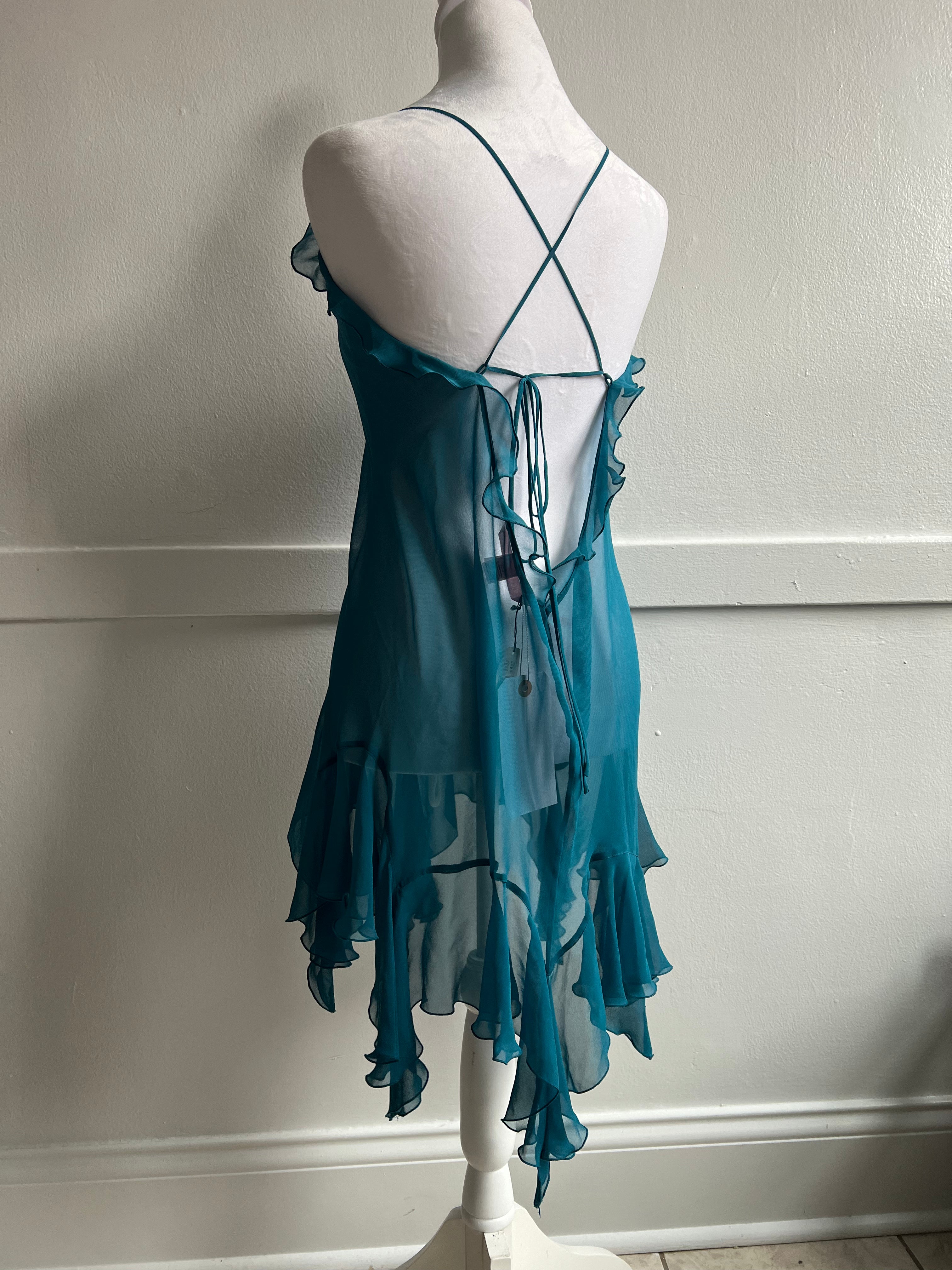 Vintage *rare* 2005 Victoria's Secret Whimsy Fairy Dress