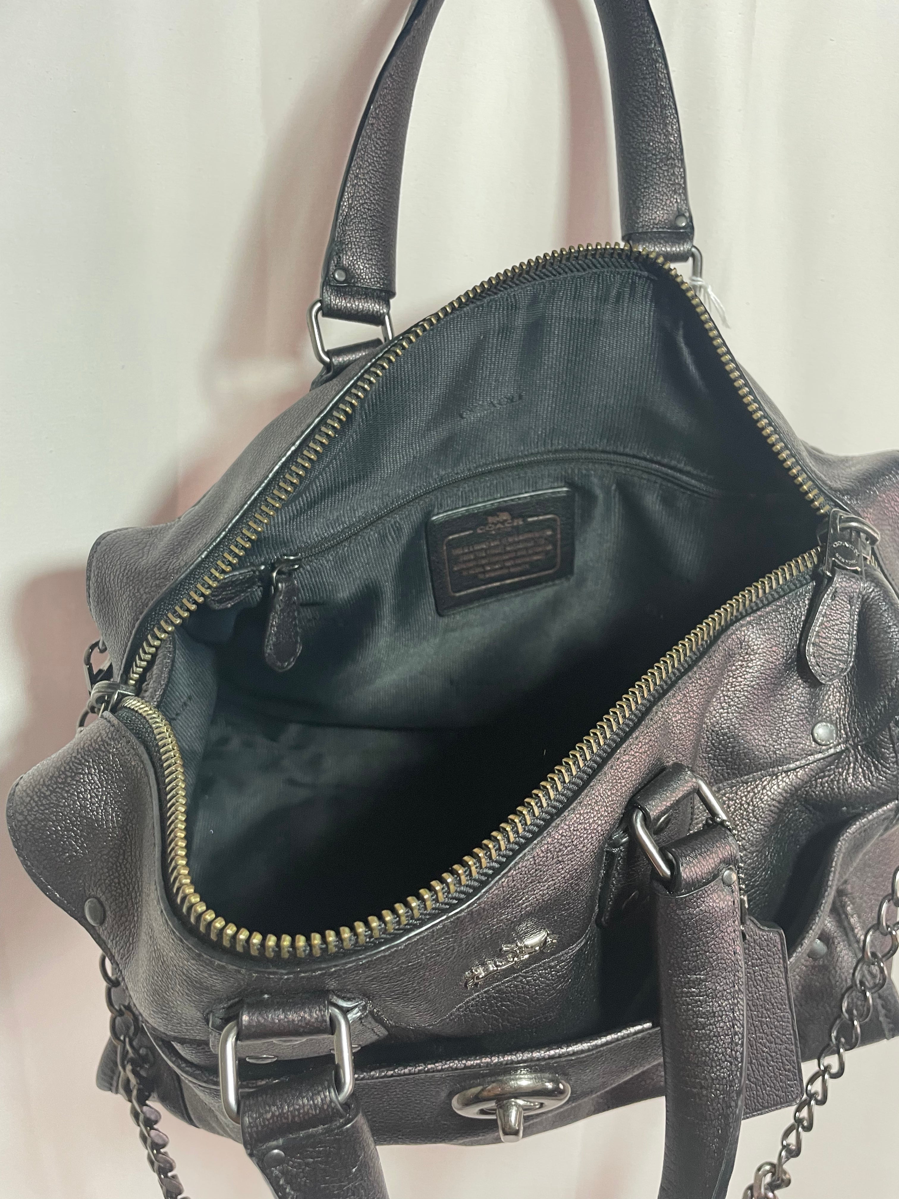 Coach Metallic Purse