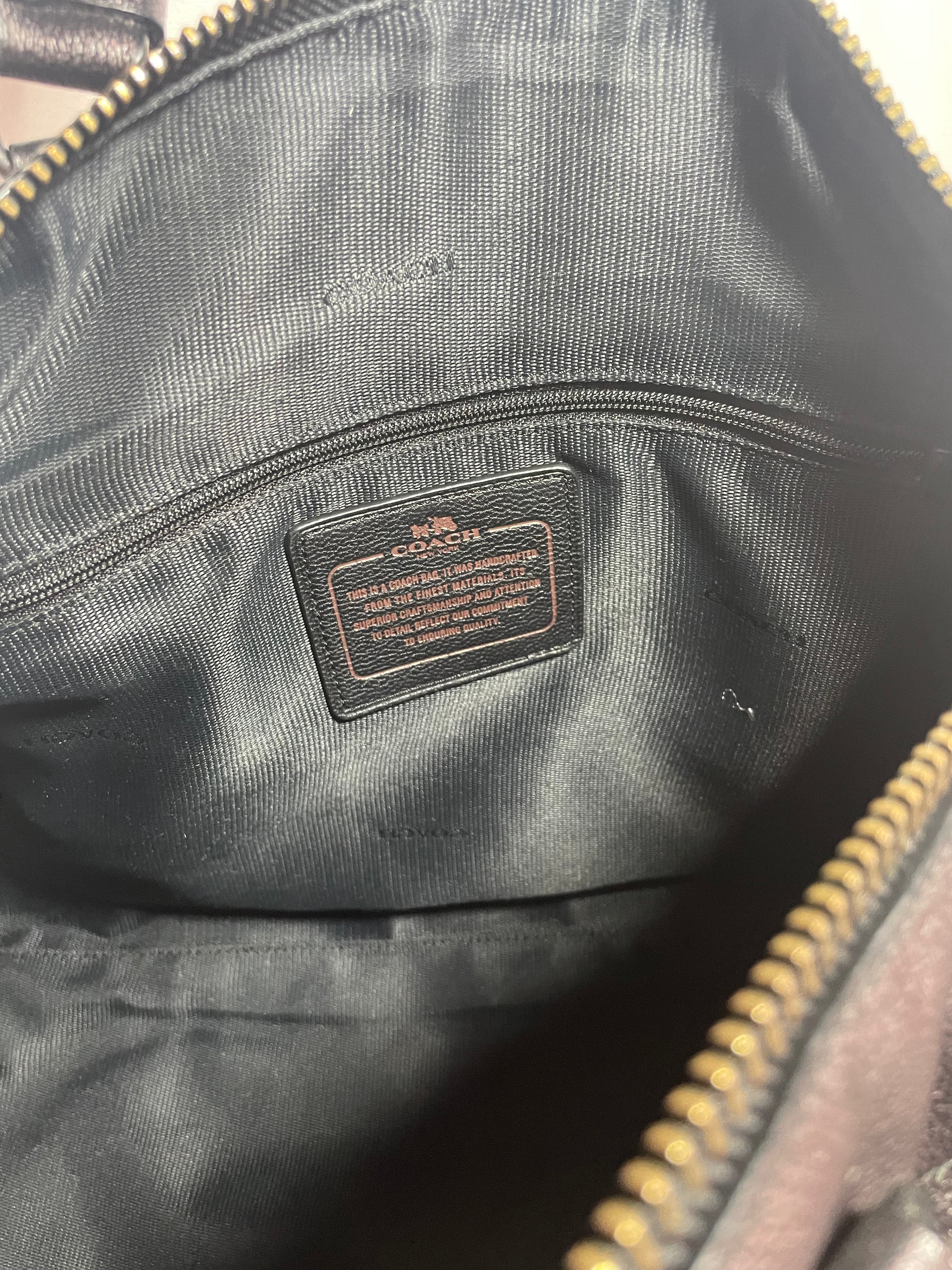 Coach Metallic Purse