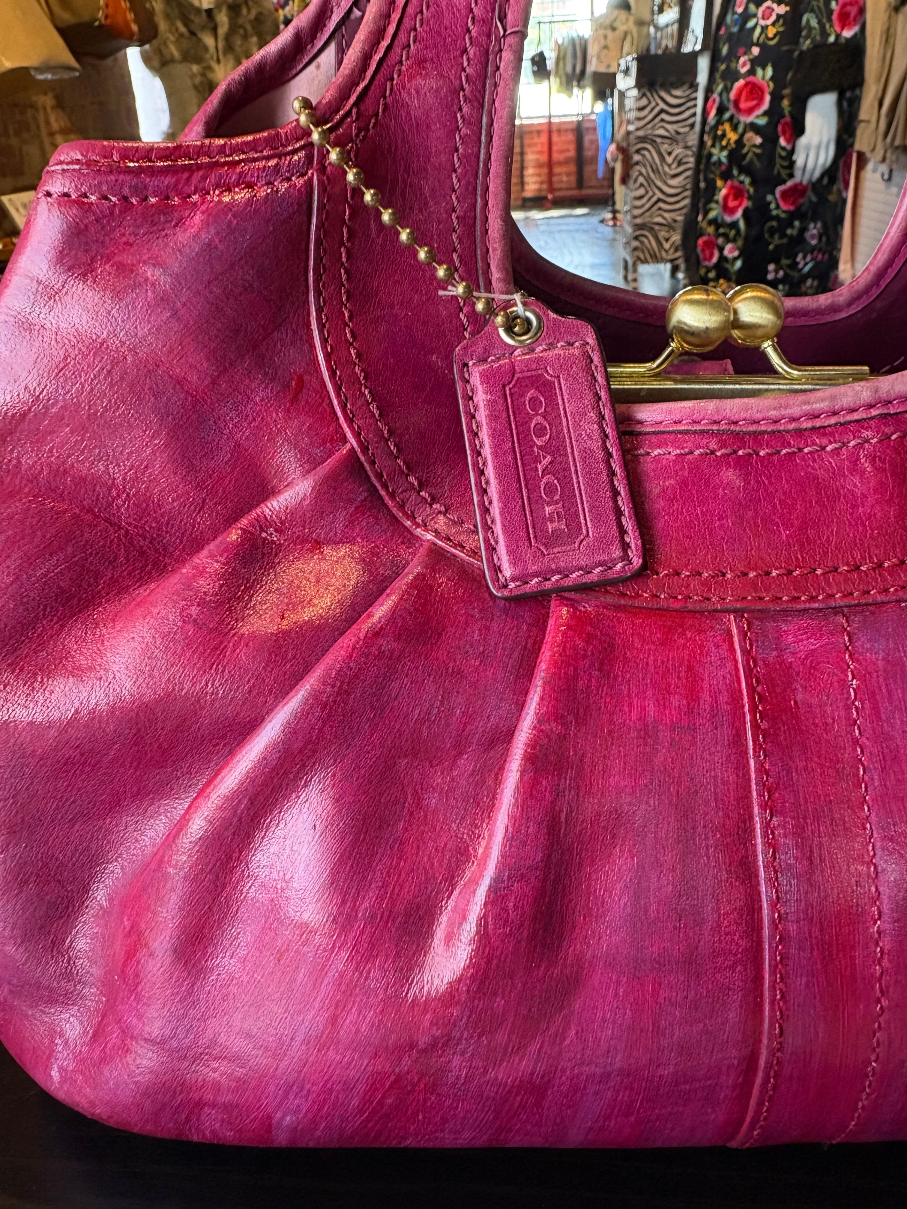 Coach Ergo Pleated Frame Satchel