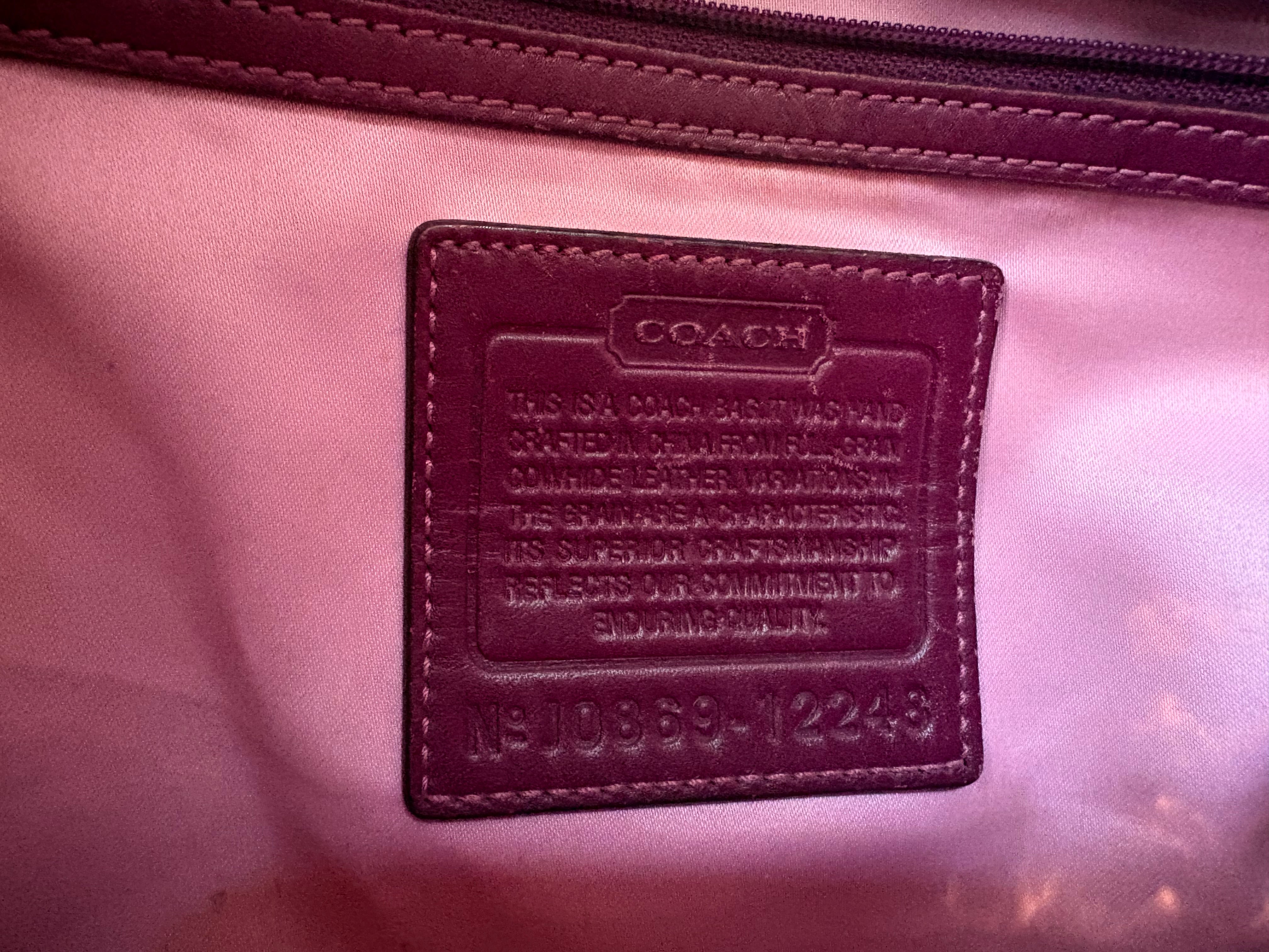 Coach Ergo Pleated Frame Satchel
