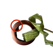 Green Ribbon Tassel Keychain