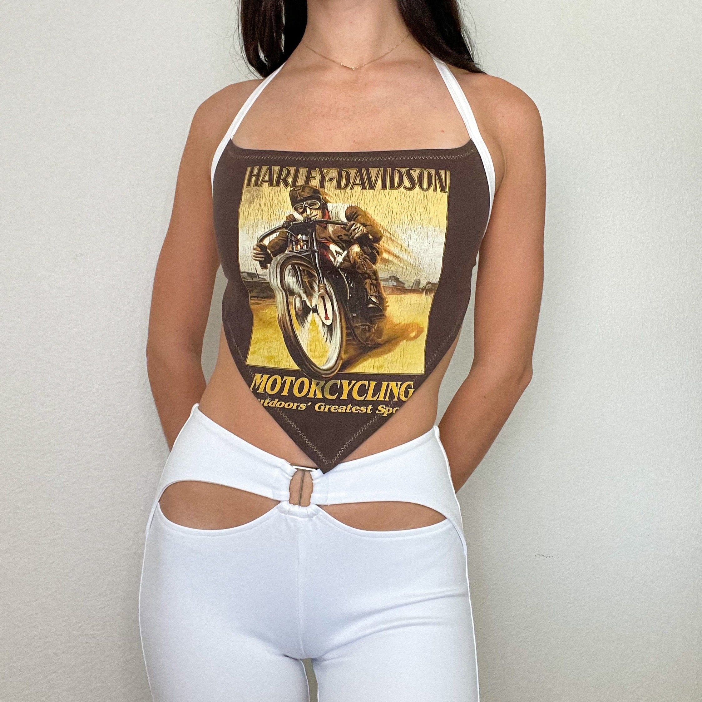 Reworked Brown Motorcycle Harley Halter