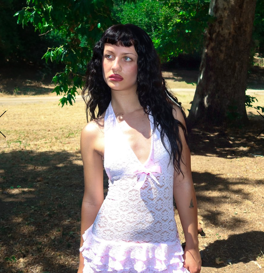 Baby Pink Lace Dress (XS-5X)