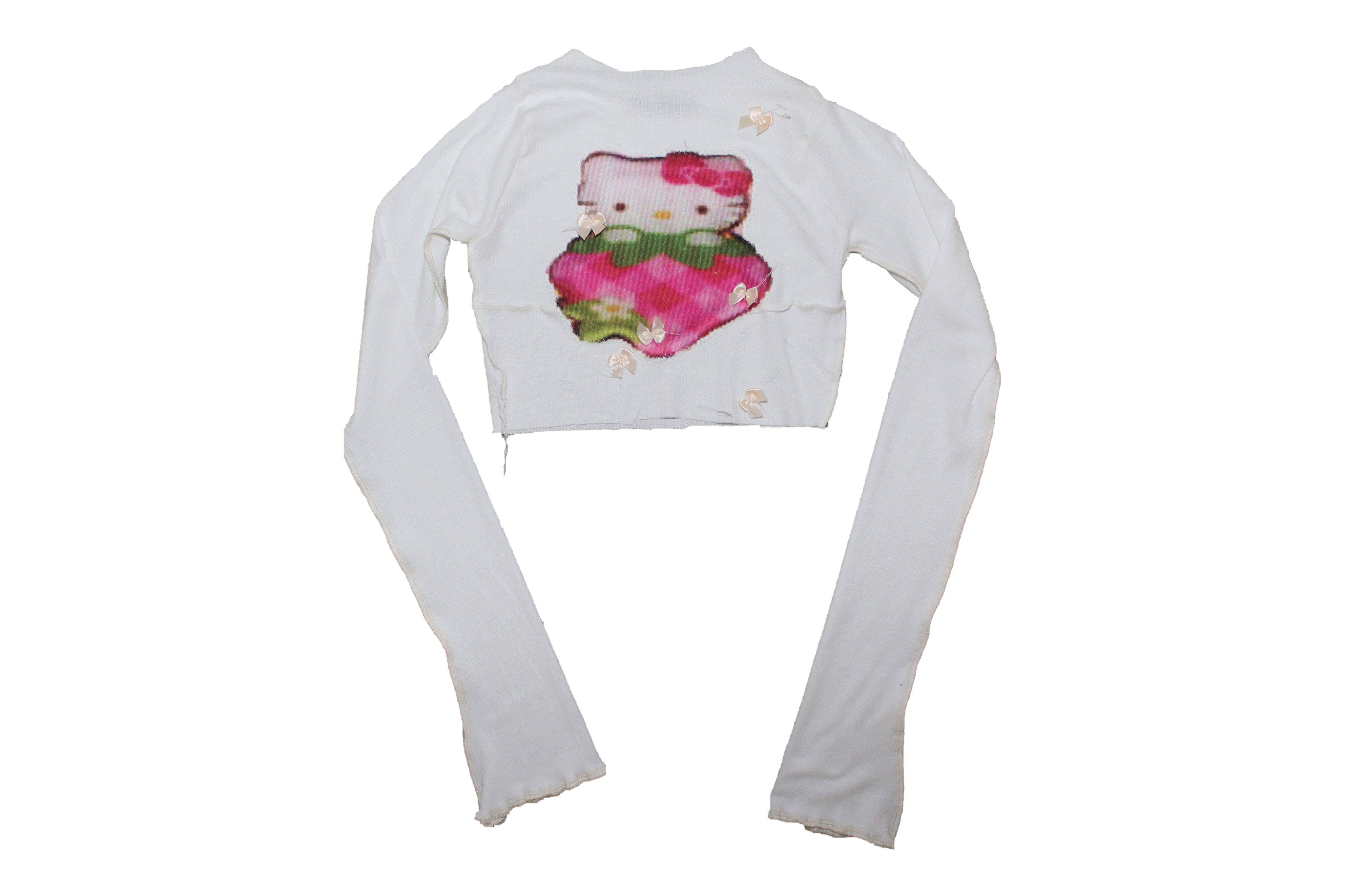 hellokittywithstrawberrylongsleeve.png