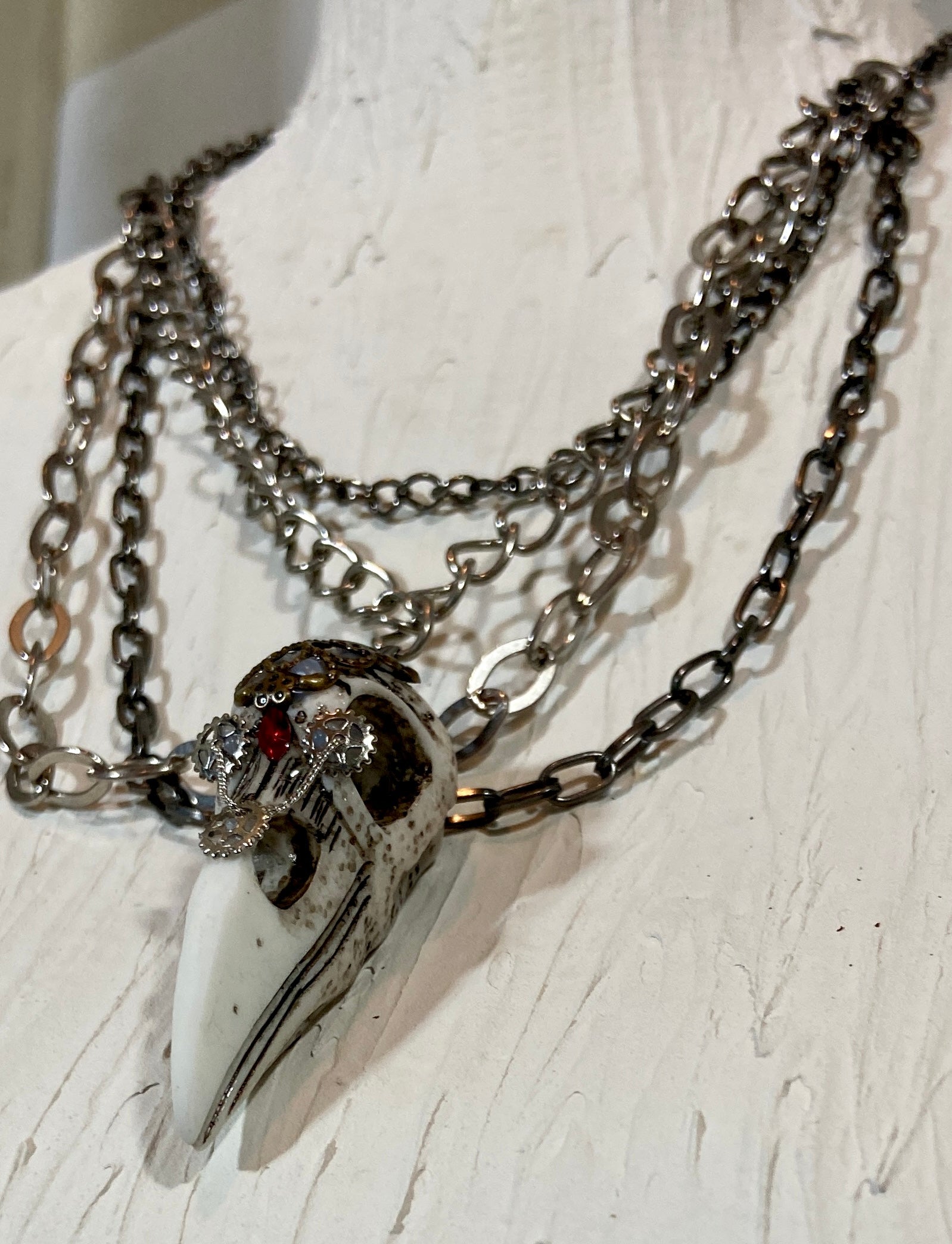 Bird skull in layers