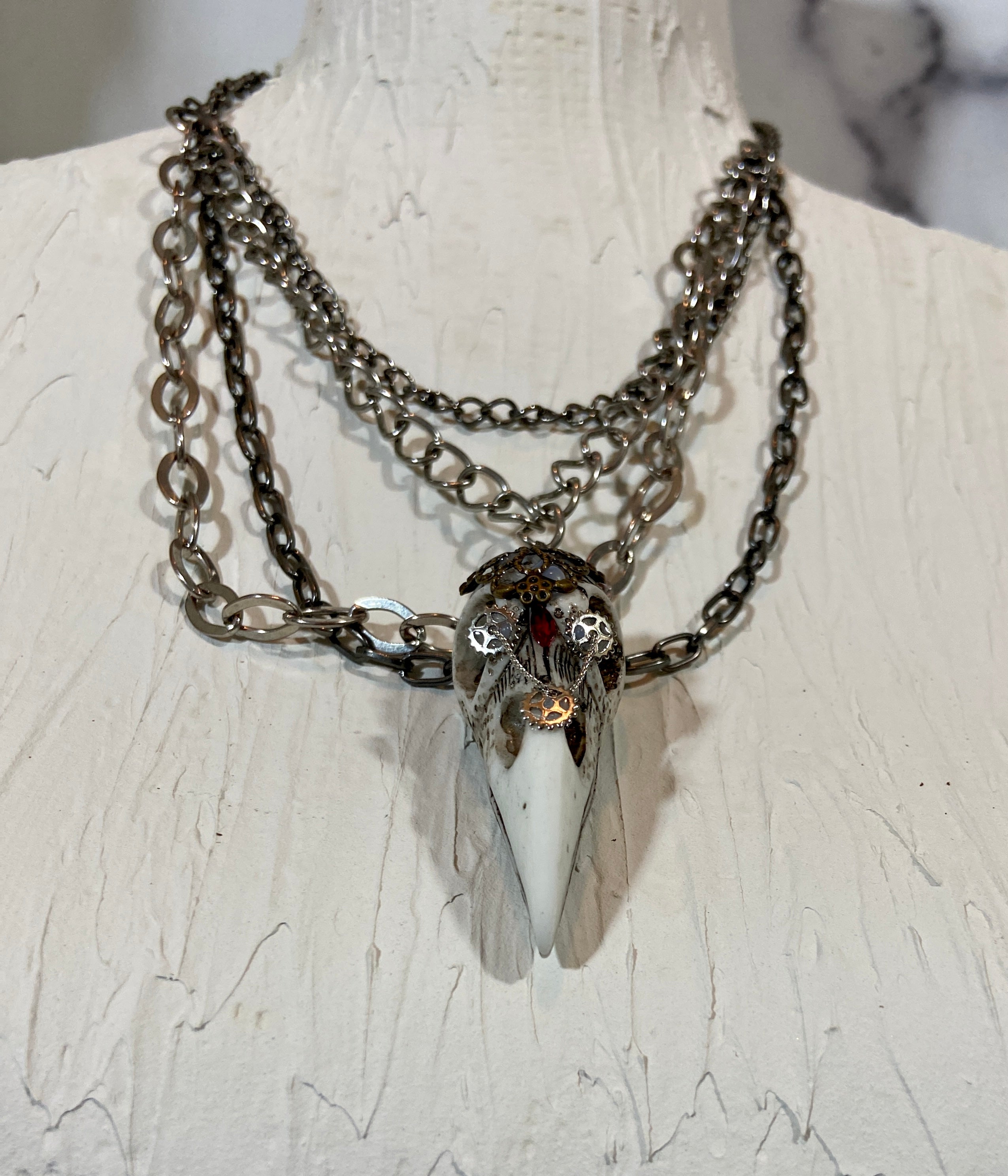 Bird skull in layers