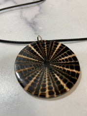 Brown and Beige Nautilus Shell Round Slice Pendant