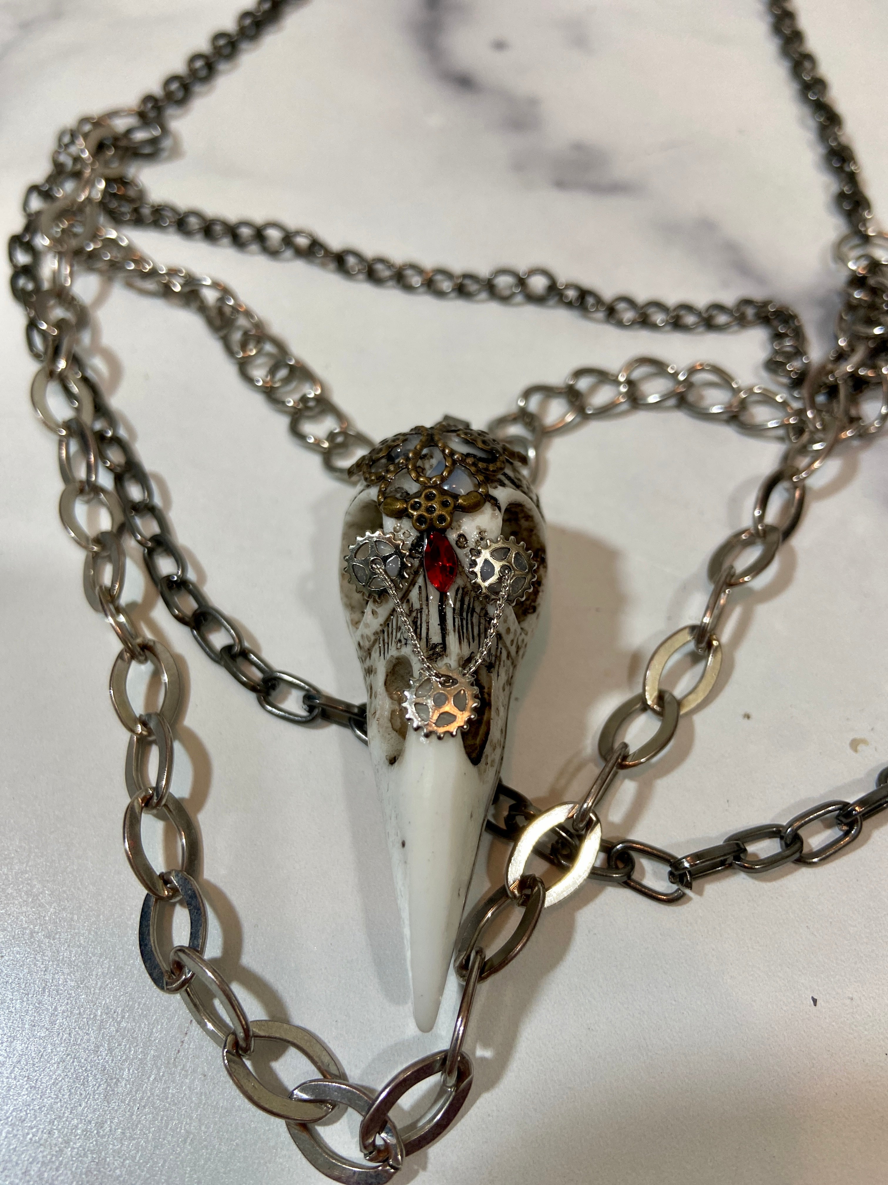 Bird skull in layers