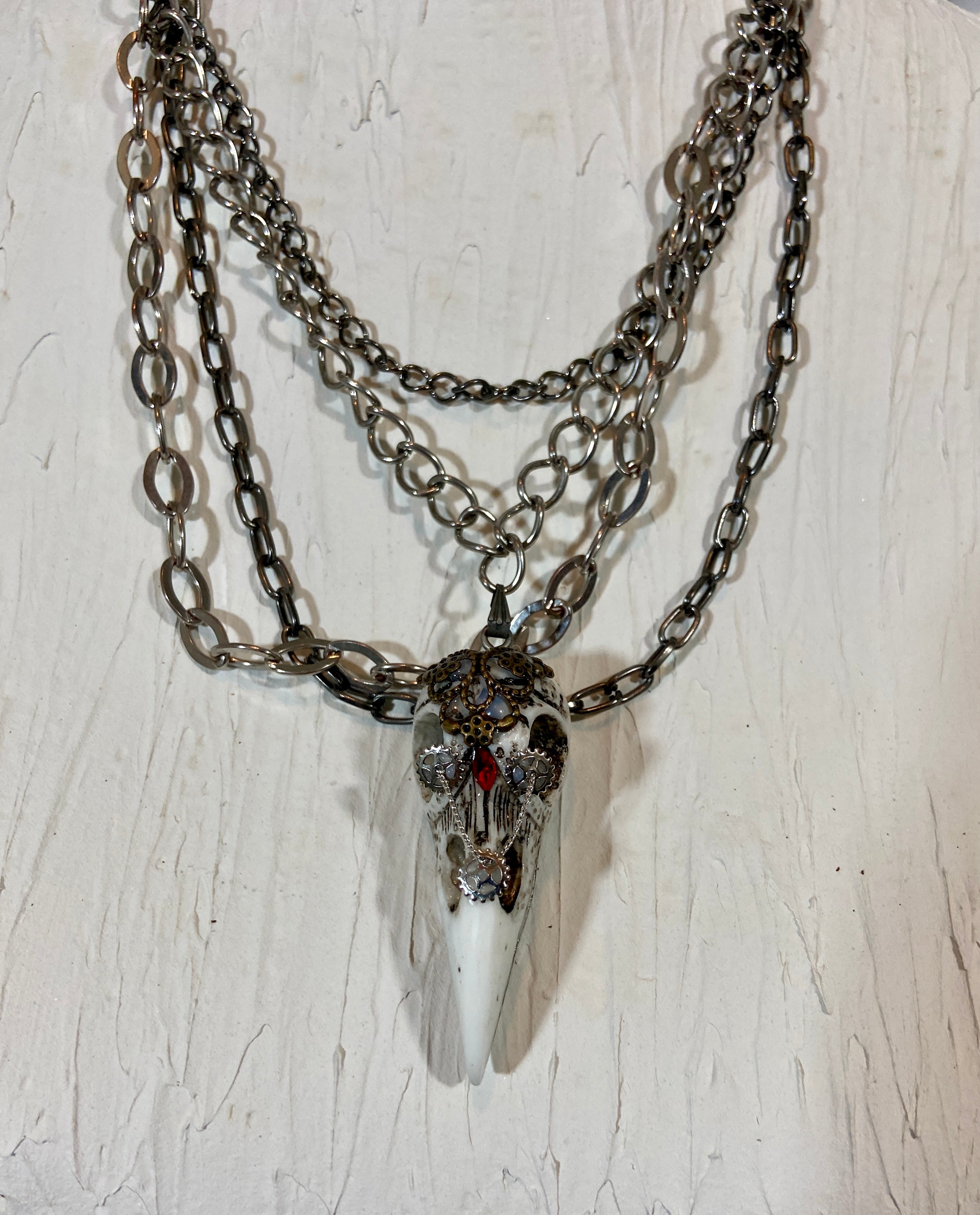 Bird skull in layers