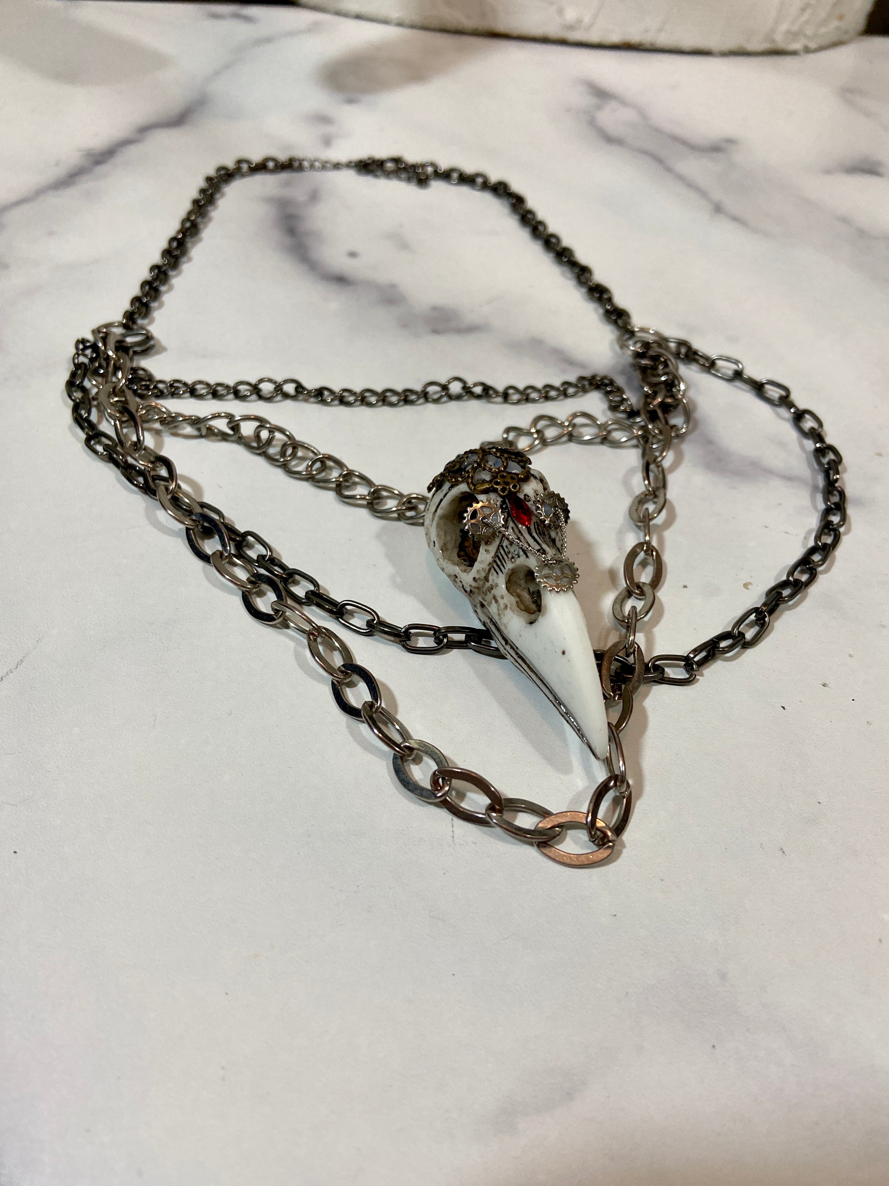 Bird skull in layers