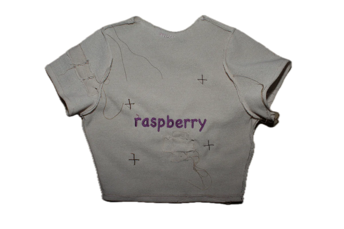 raspberrylaydown.webp