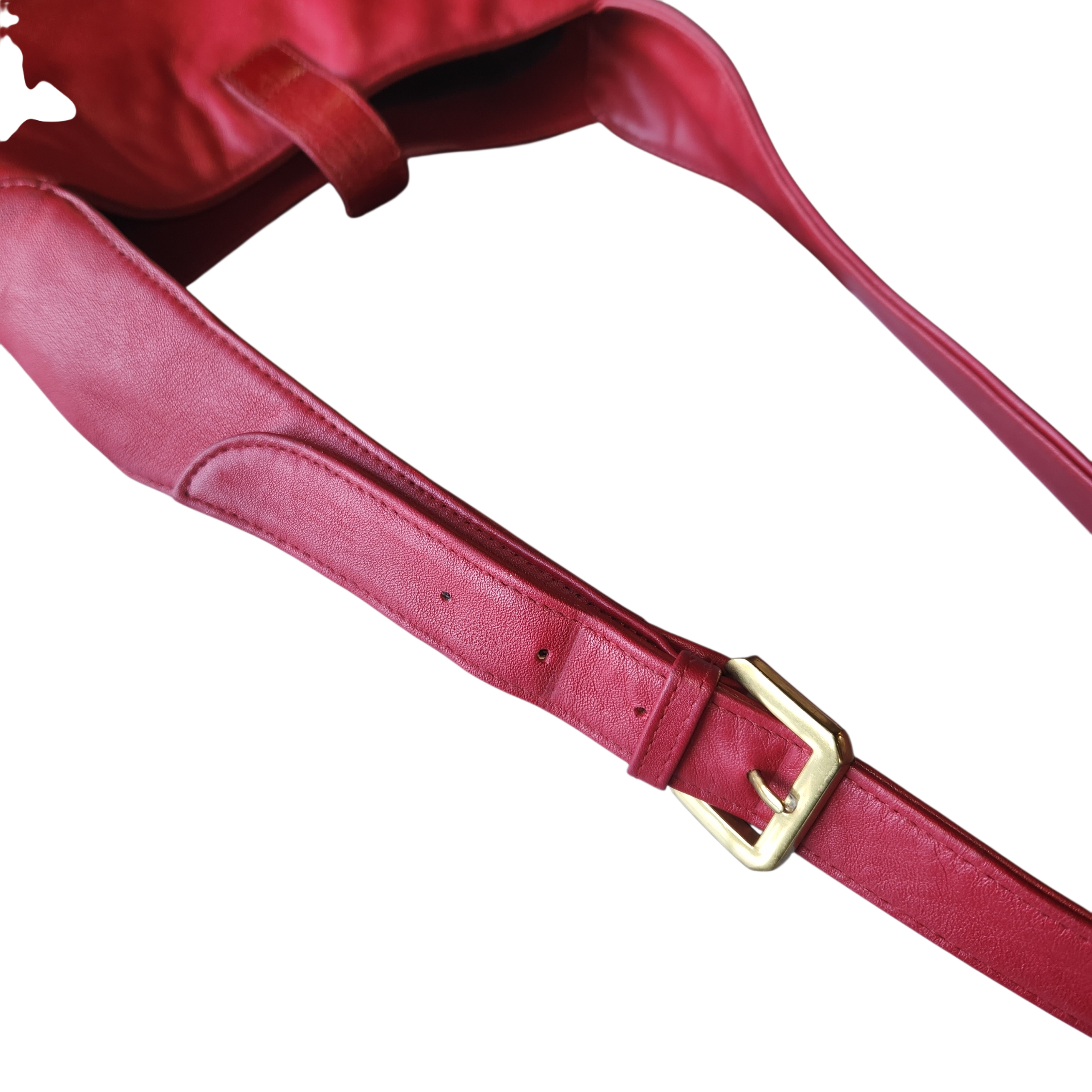 Ruby Red Snake Print Mini-Tote Bag