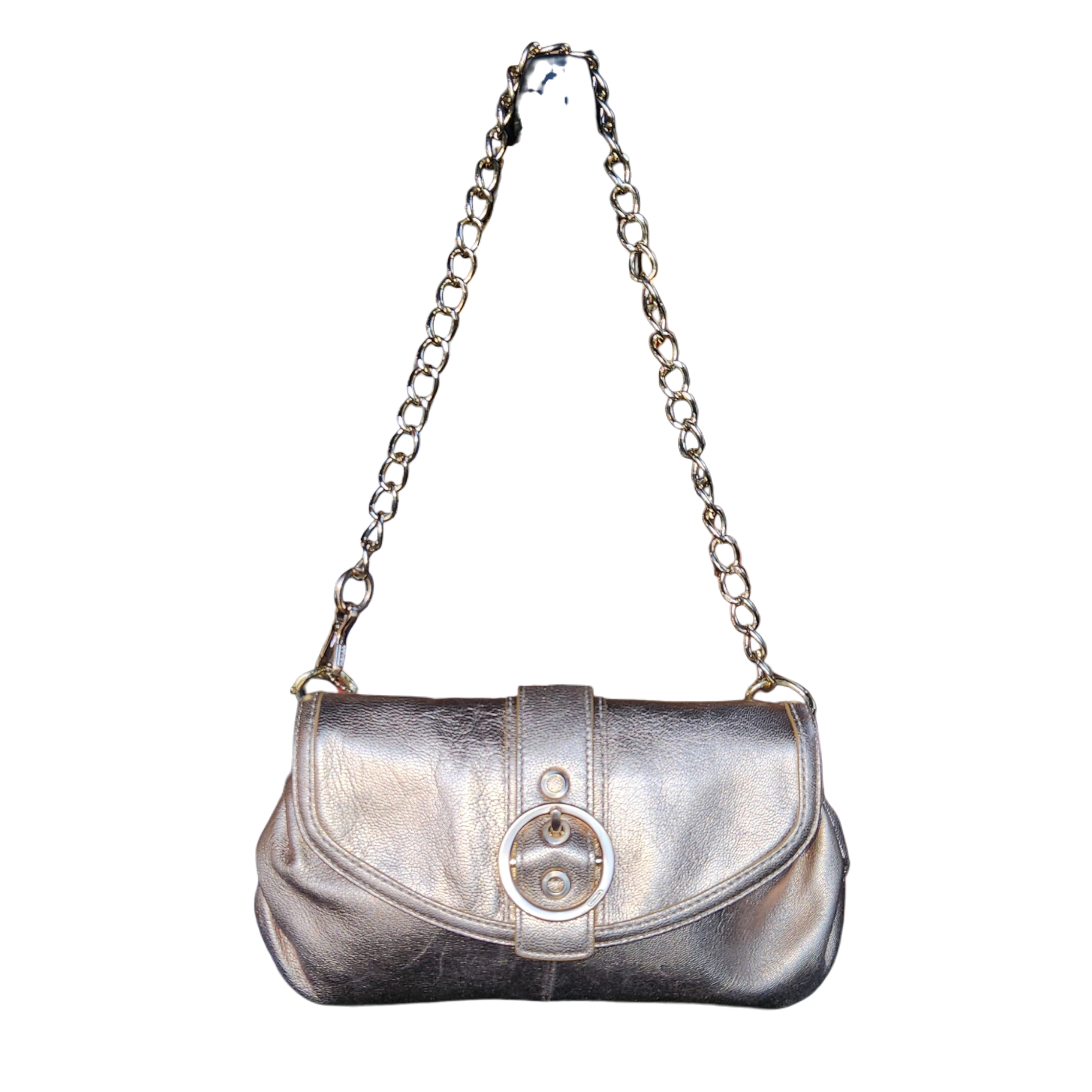 The coach Golden Purse