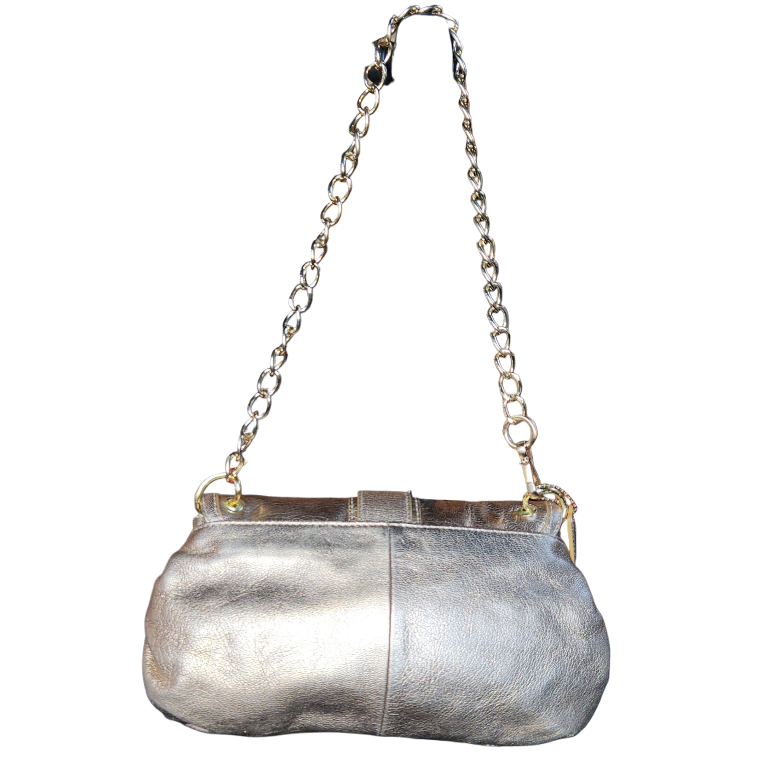 The coach Golden Purse