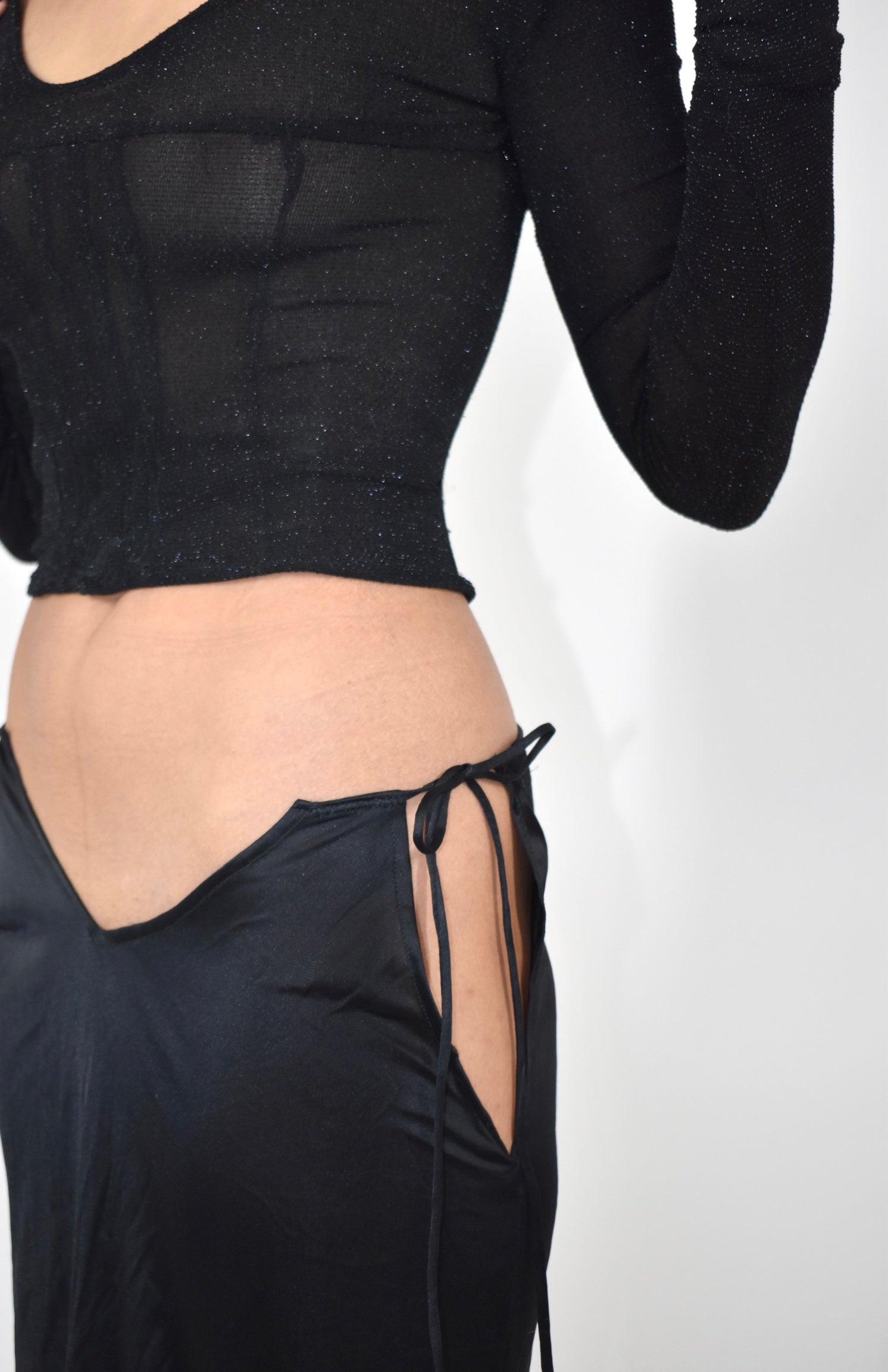 Sheer Glitter Long Sleeve Top