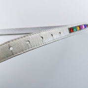 Vintage Rainbow Rhinestone Leather Belt