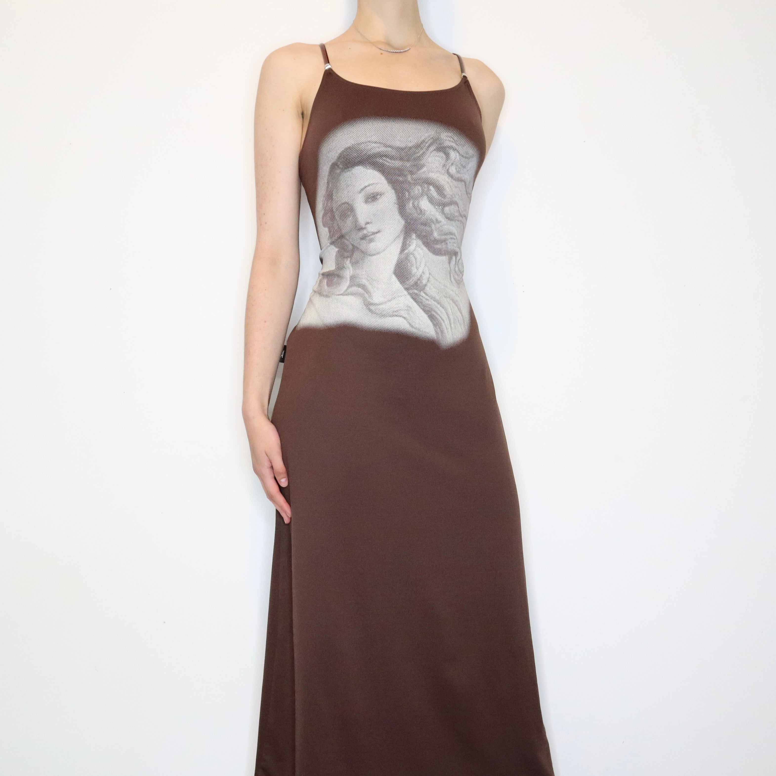 French Renaissance Maxi Dress (Large)
