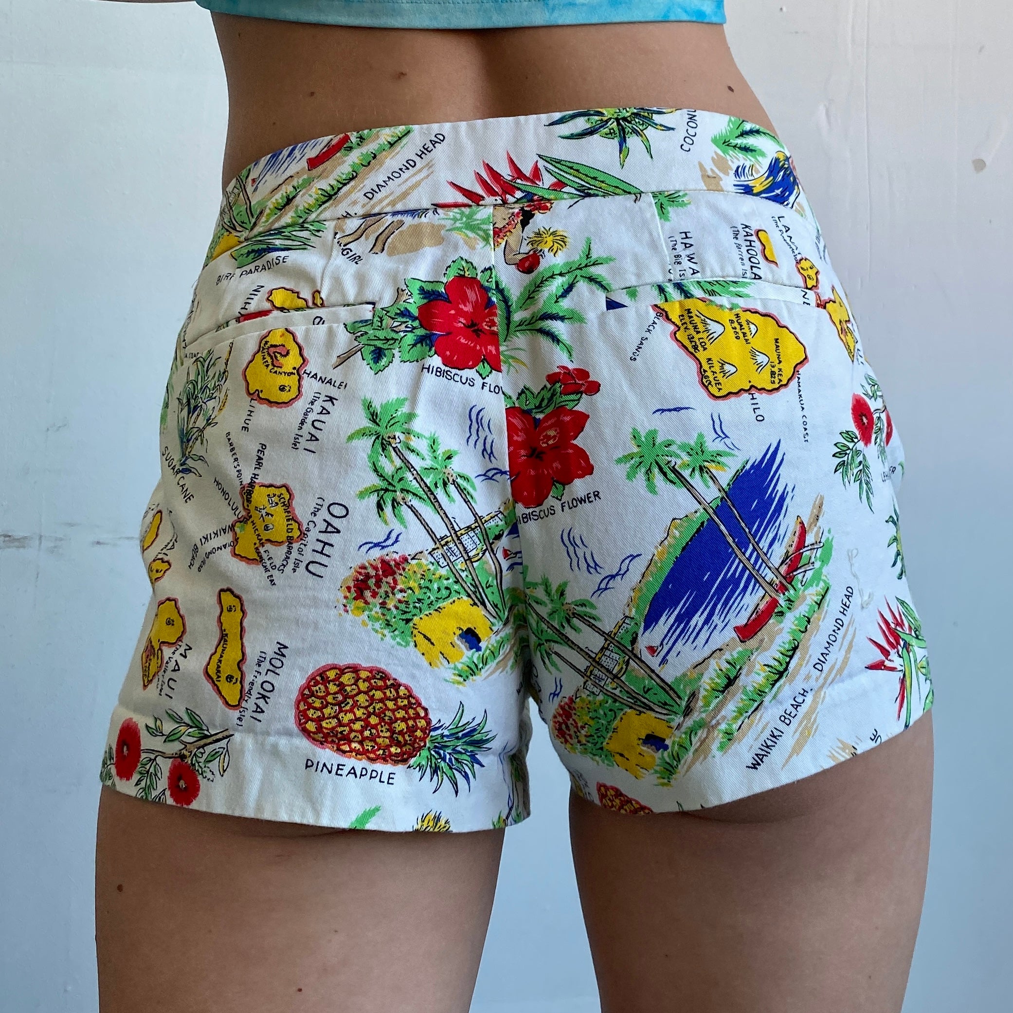 Hawaii geo shorts