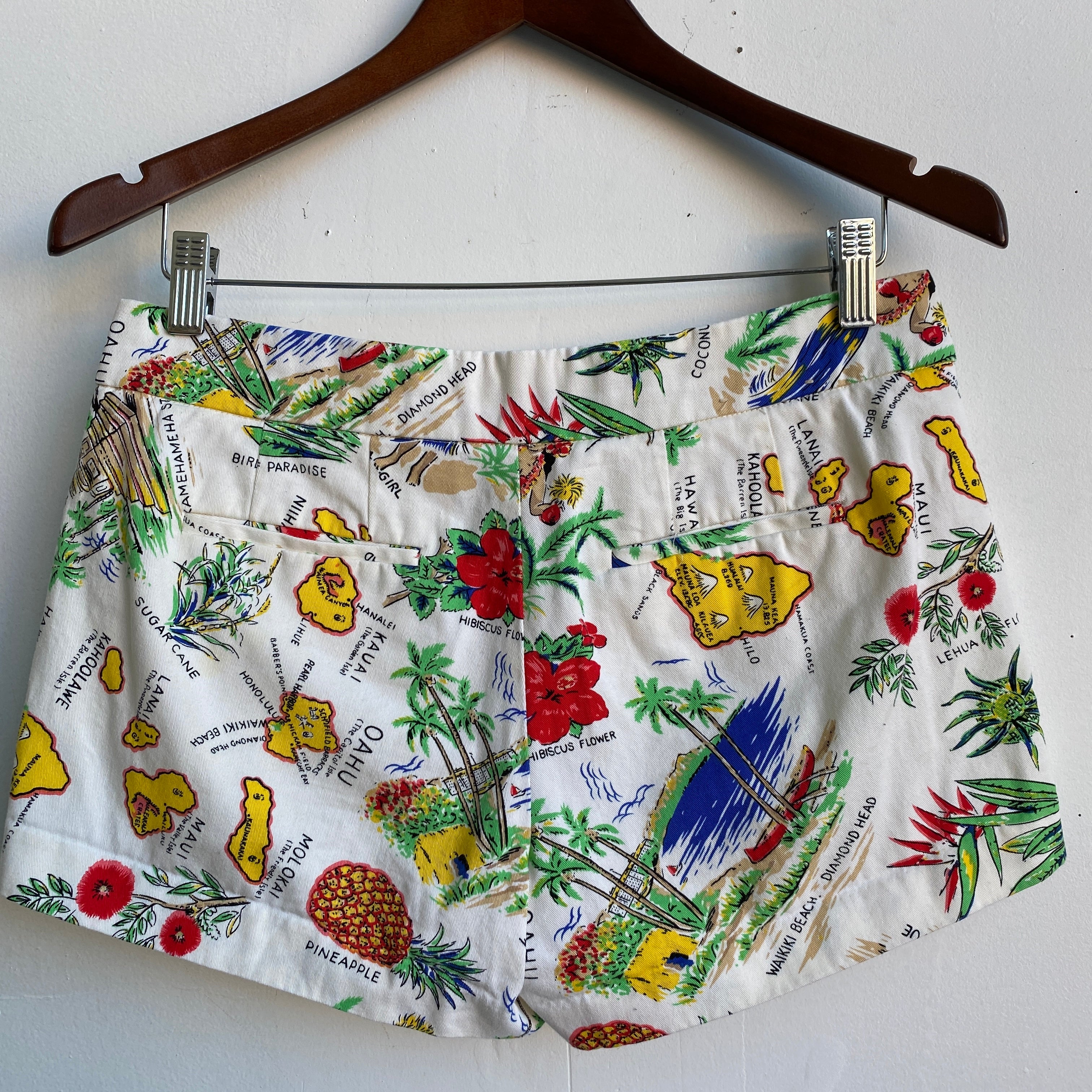 Hawaii geo shorts