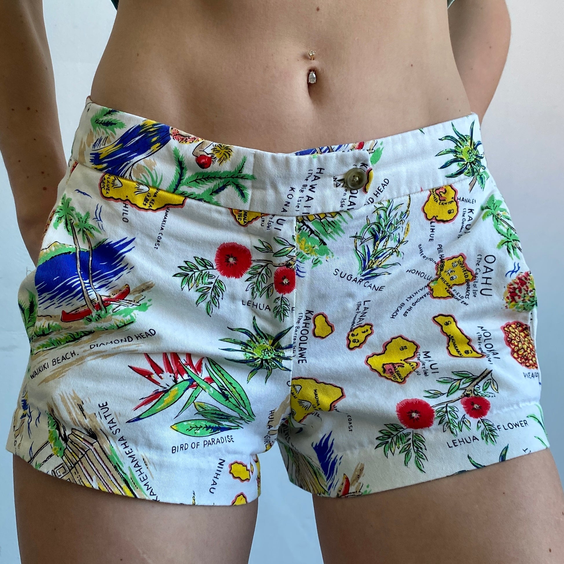 Hawaii geo shorts