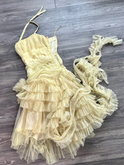 Vintage Ruffle Dress