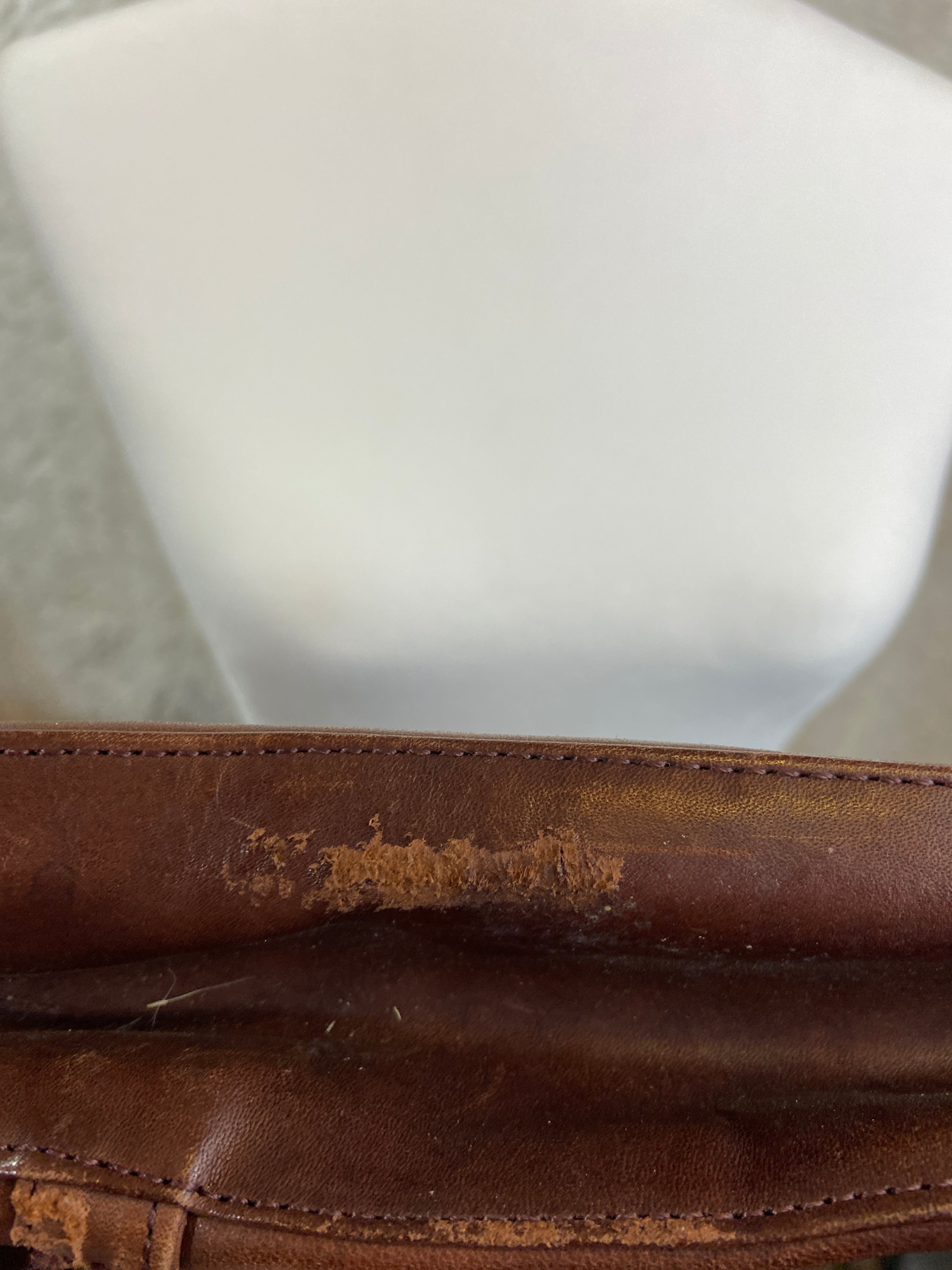 Leaders. In leather bag or backpack