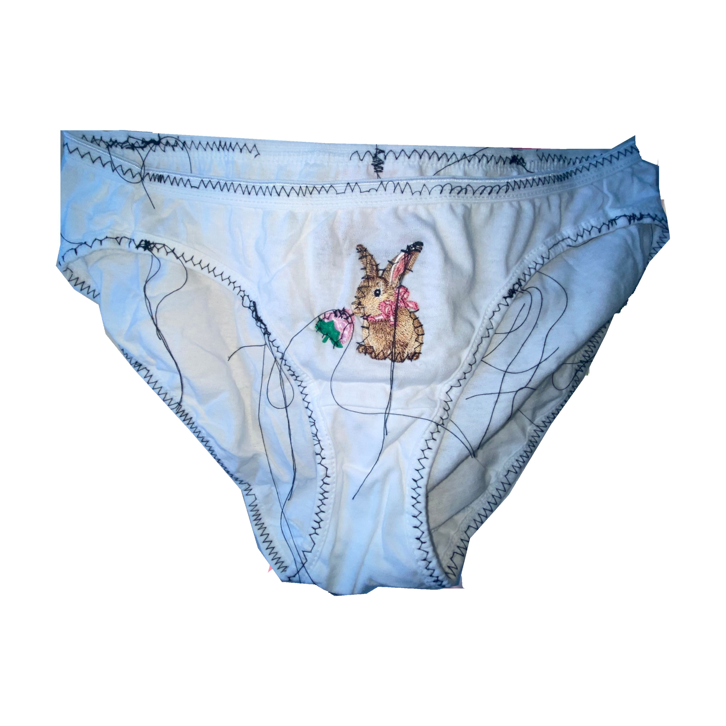 rabbitundies.png